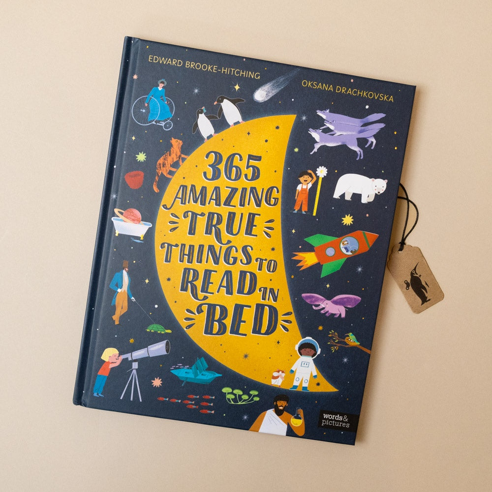 365-amazing-true-things-to-read-in-bed