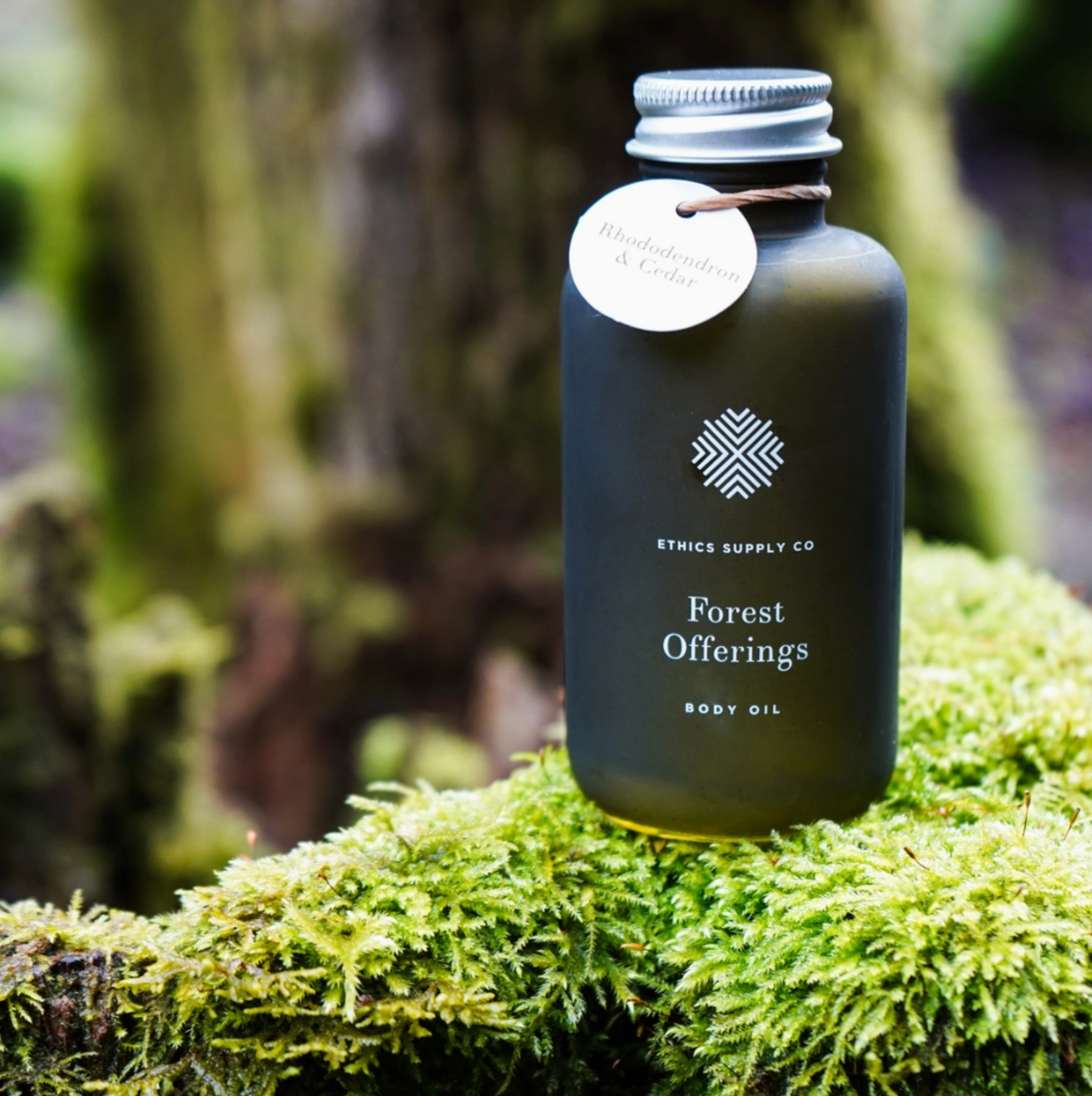 Body Oil | Forest Offering