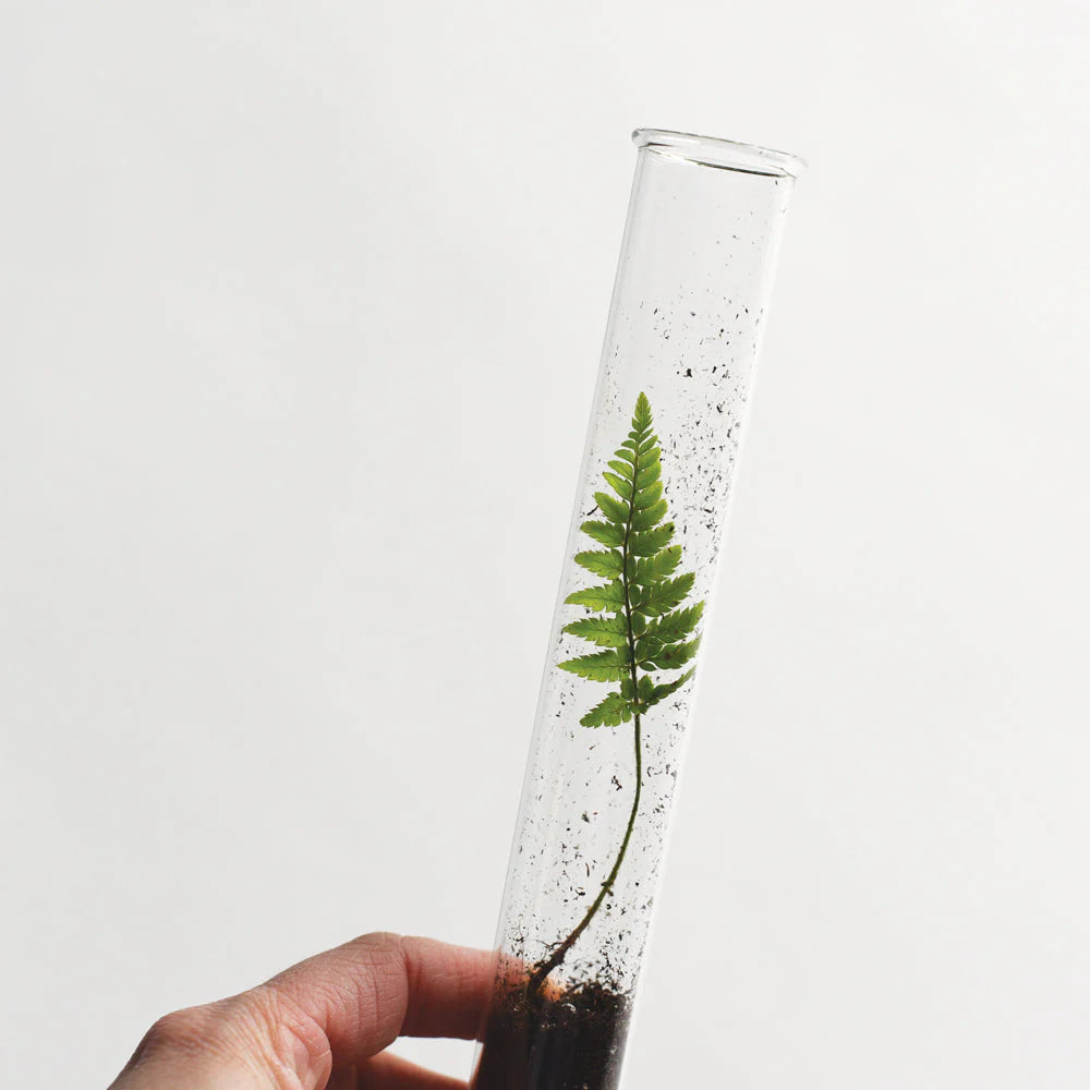 Pencil Terrarium | Earth