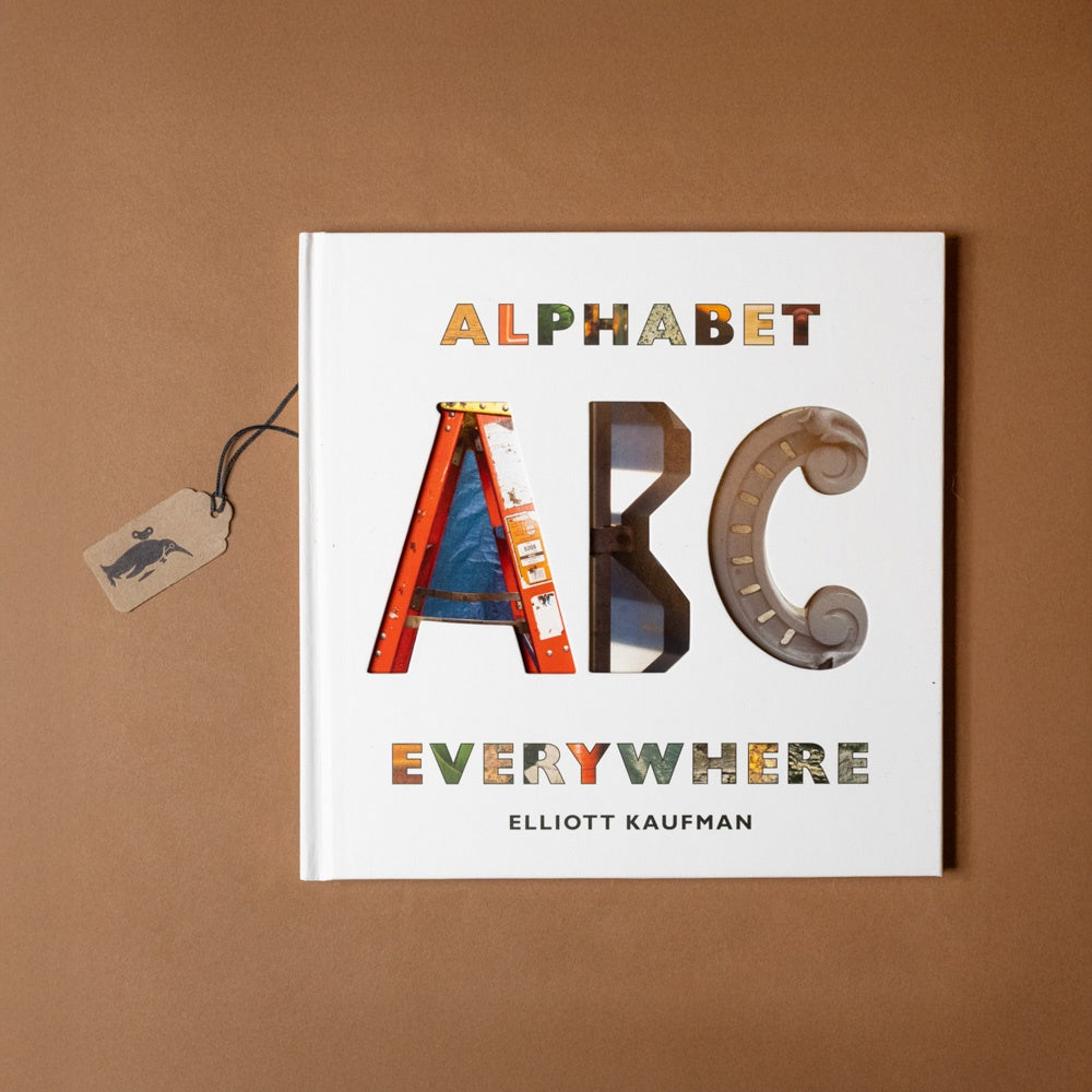 Book titled 'Alphabet Everywhere' by Elliott Kaufman on a brown background