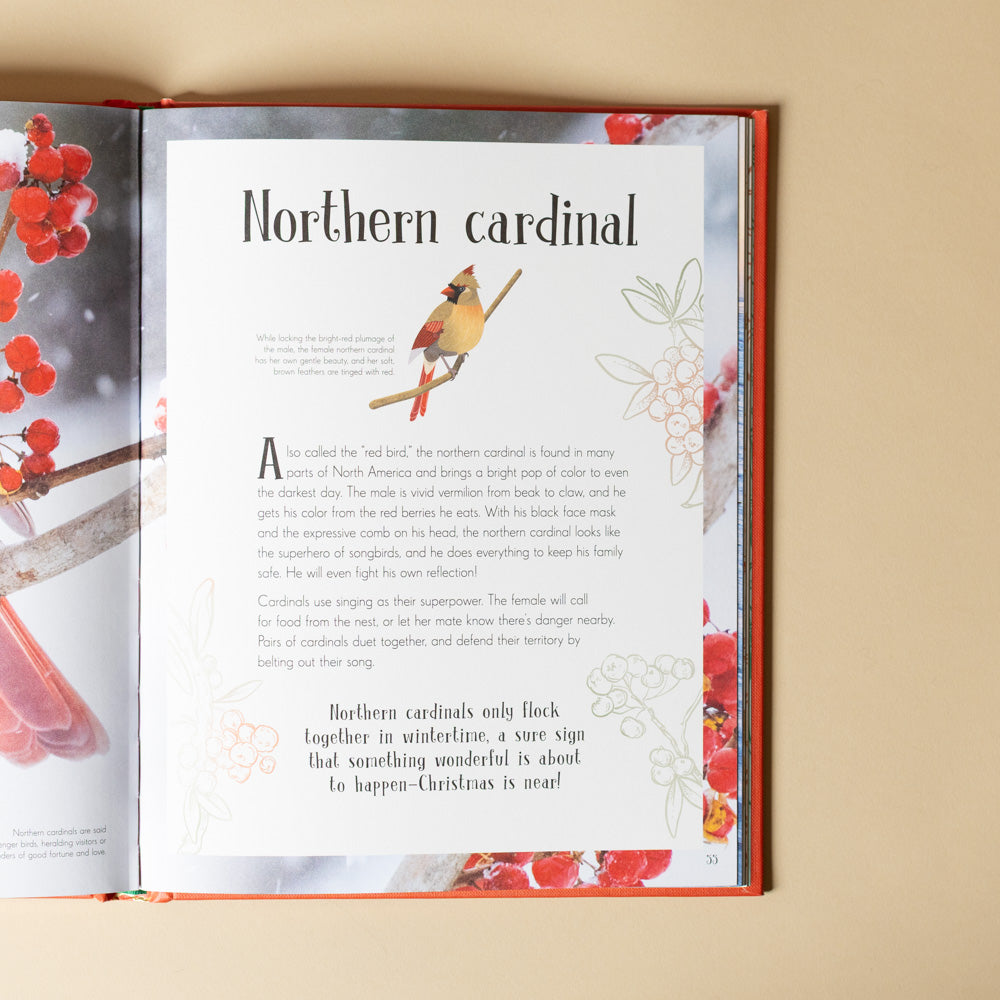 an-anthology-of-christmas-book Open book showing a page about Northern cardinals with illustrations and text.