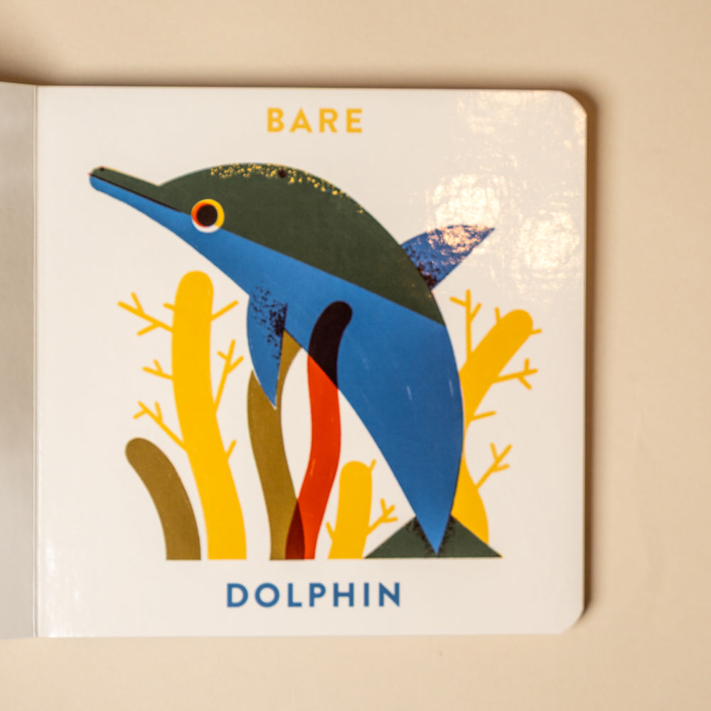 animal-opposites-board-book Card with a colorful illustration of a dolphin and the word 'Bare' at the top, on a beige background.