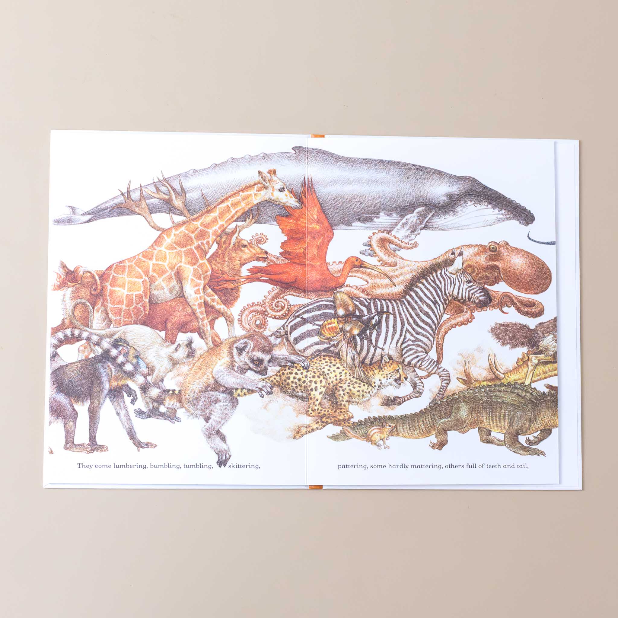 animals-on-parade-page-with-whale-giraffe-squid-zebra-and-others