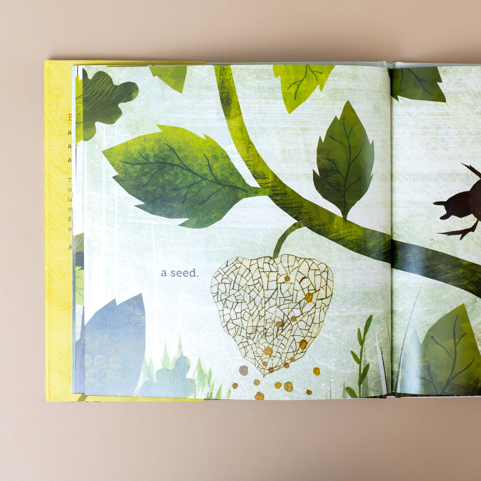 illustration-of-seeds-falling-from-a-pod-on-tree-with-the-text-seed