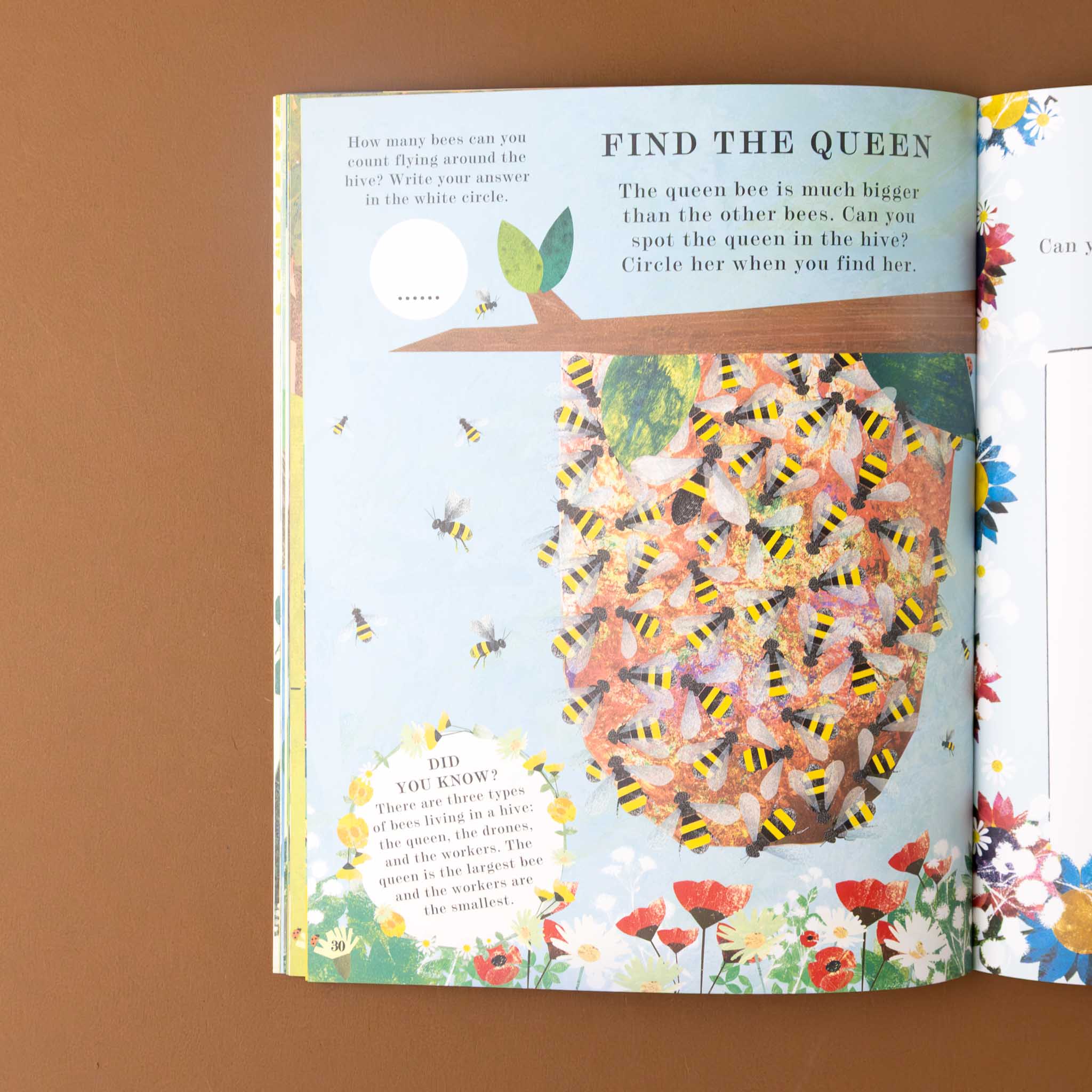 bee-a-peek-through-activity-book-interior-page-titled-find-the-queen-and-a-bee-hive-covered-in-bees