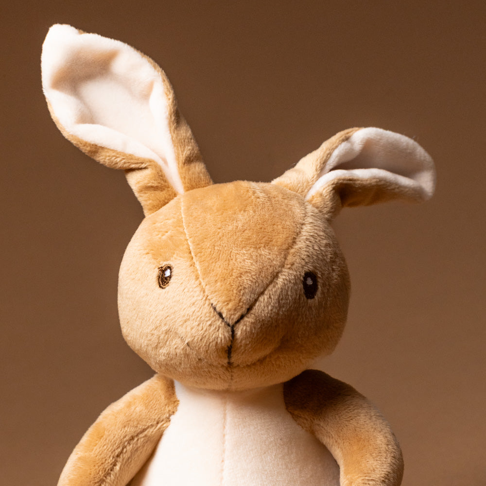 bianca-the-rabbit-grande-face