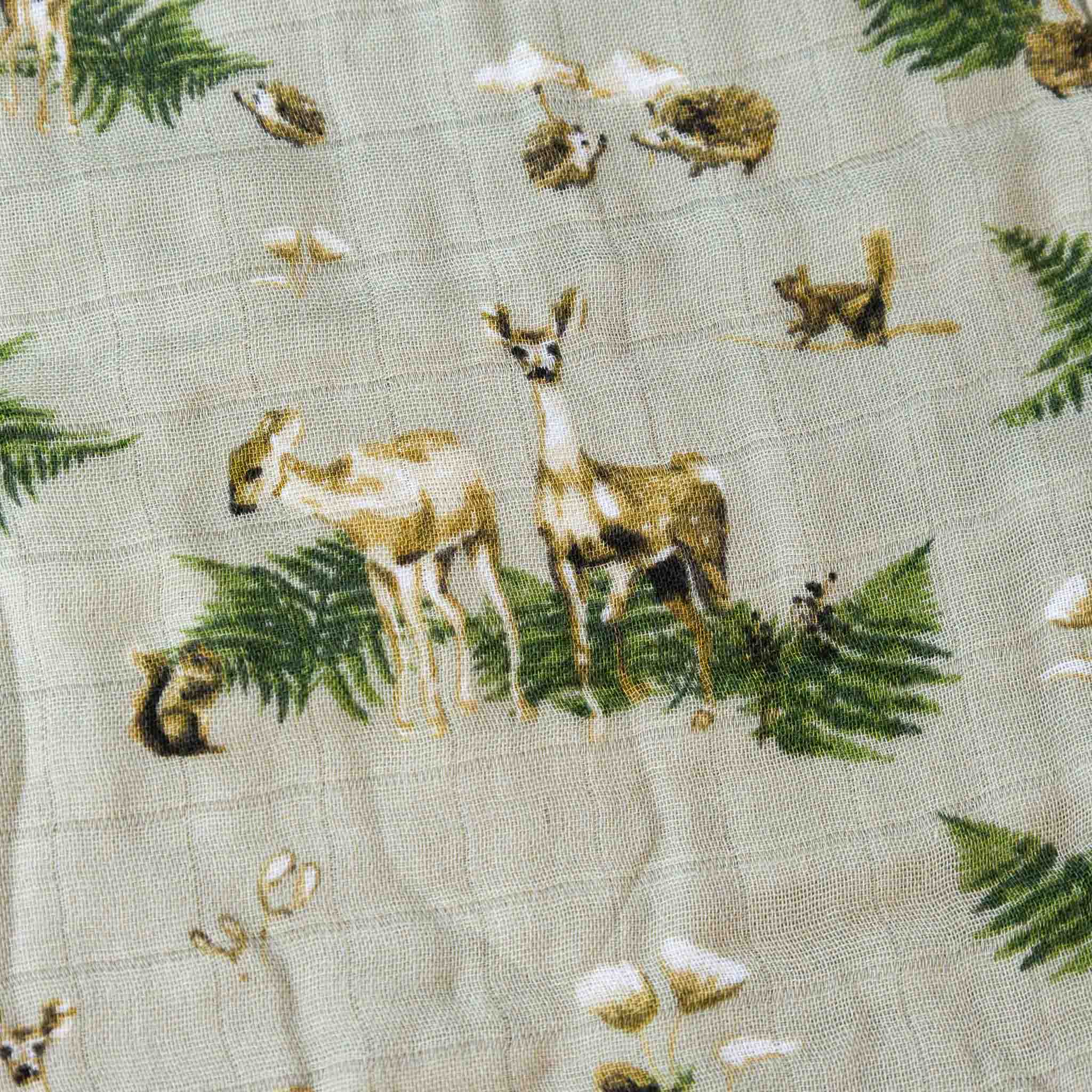 Little Lovie | Forest Party