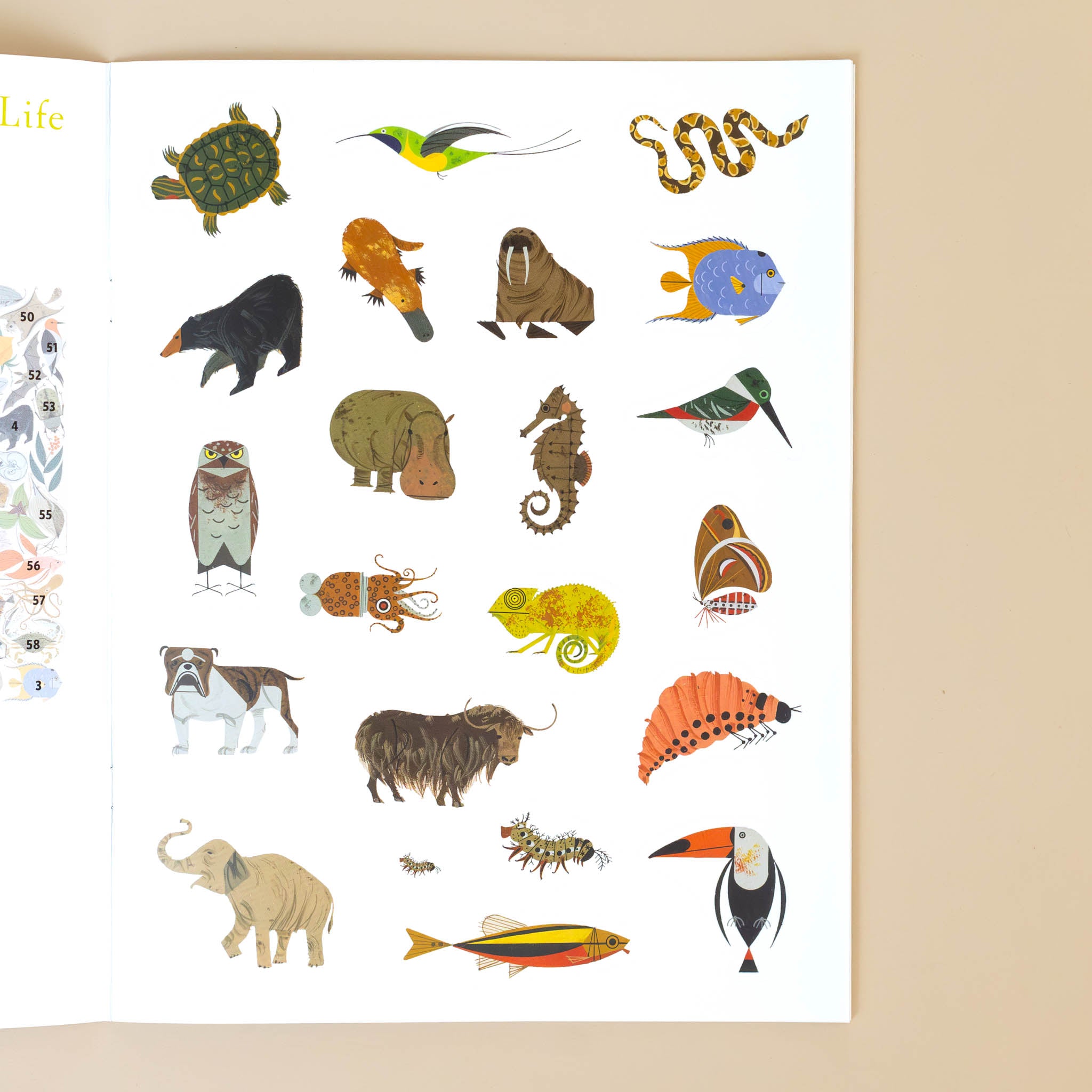 charley-harpers-tree-of-life-sticker-book-stickers-of-all-types-of-animals-critters-birds-and-sea-life