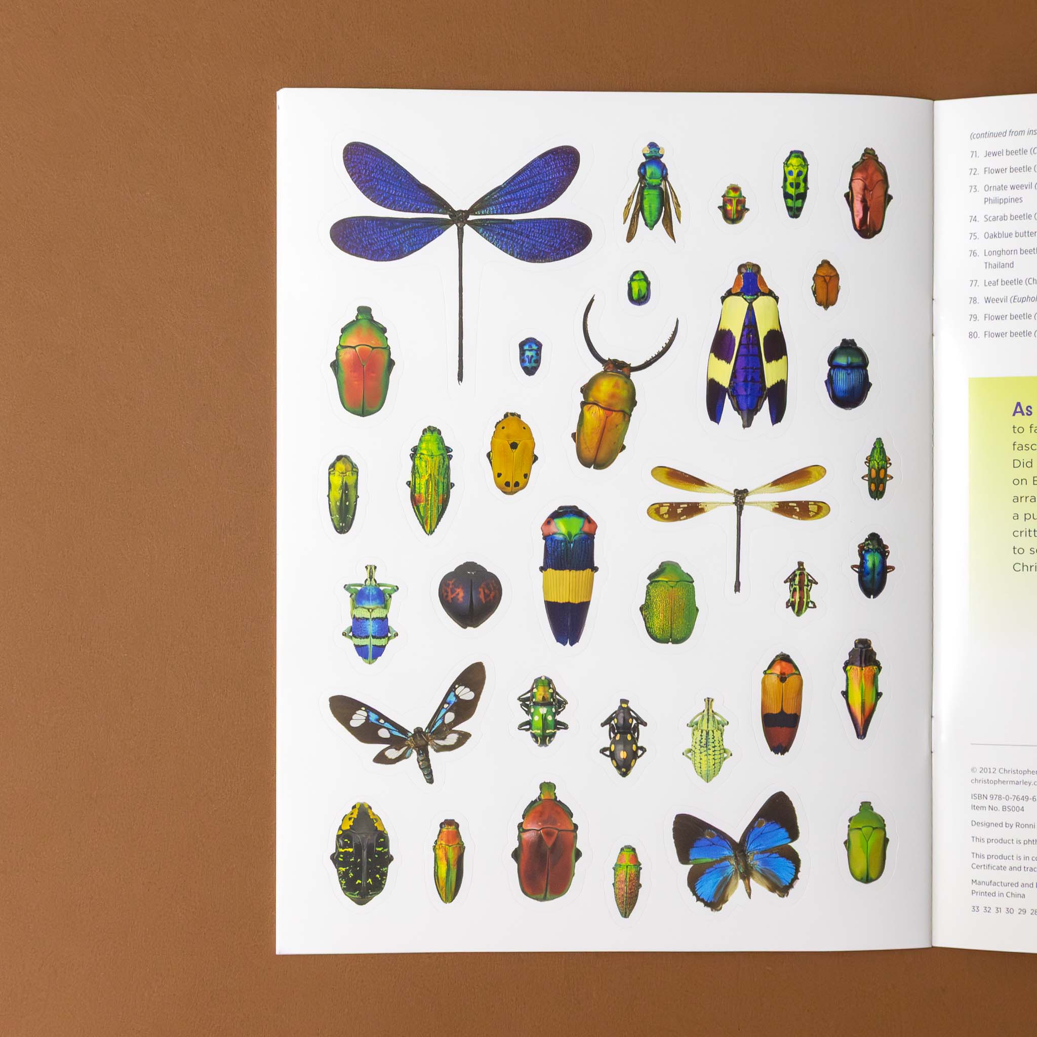 christopher-marleys-incredible-insects-sticker-book