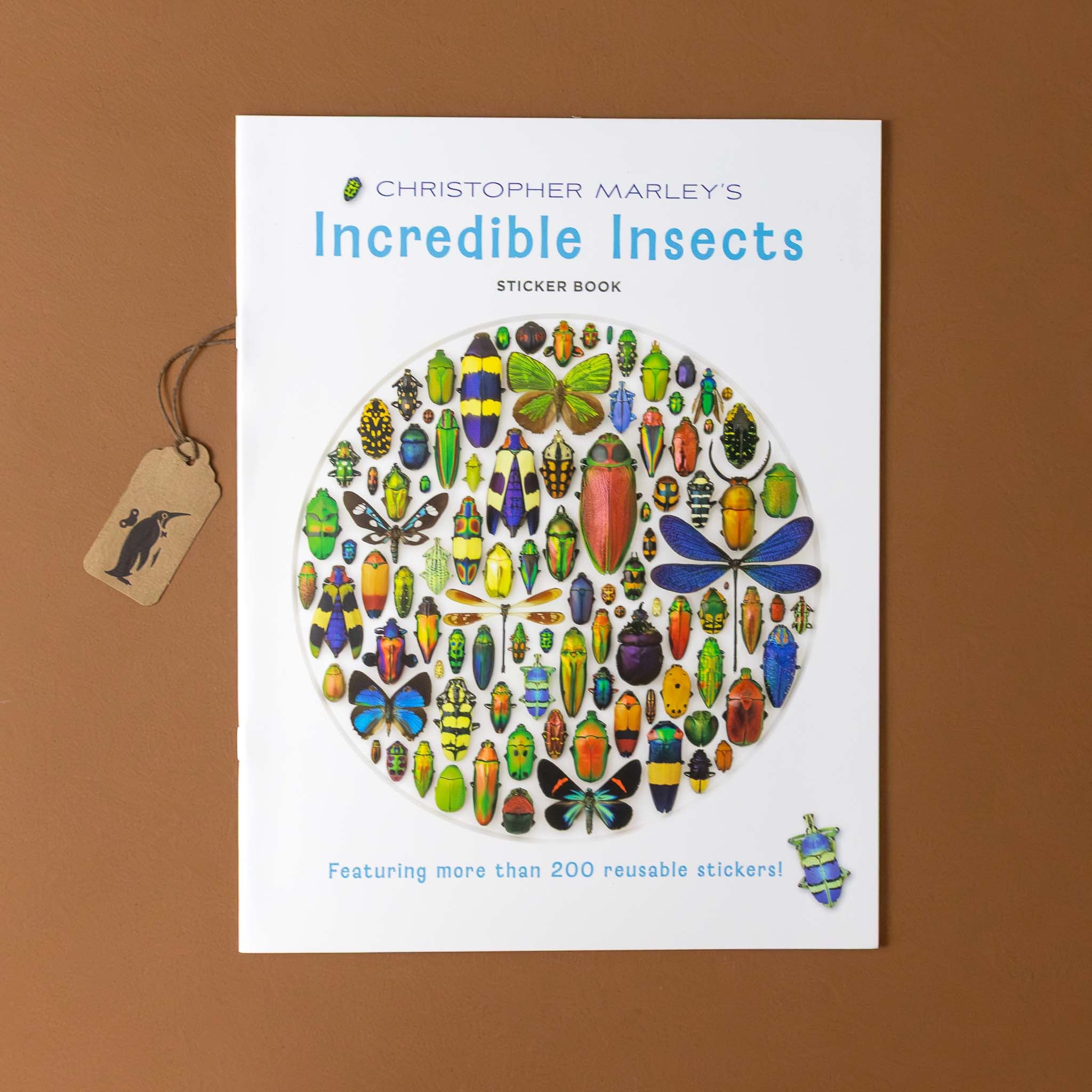 christopher-marleys-incredible-insects-sticker-book