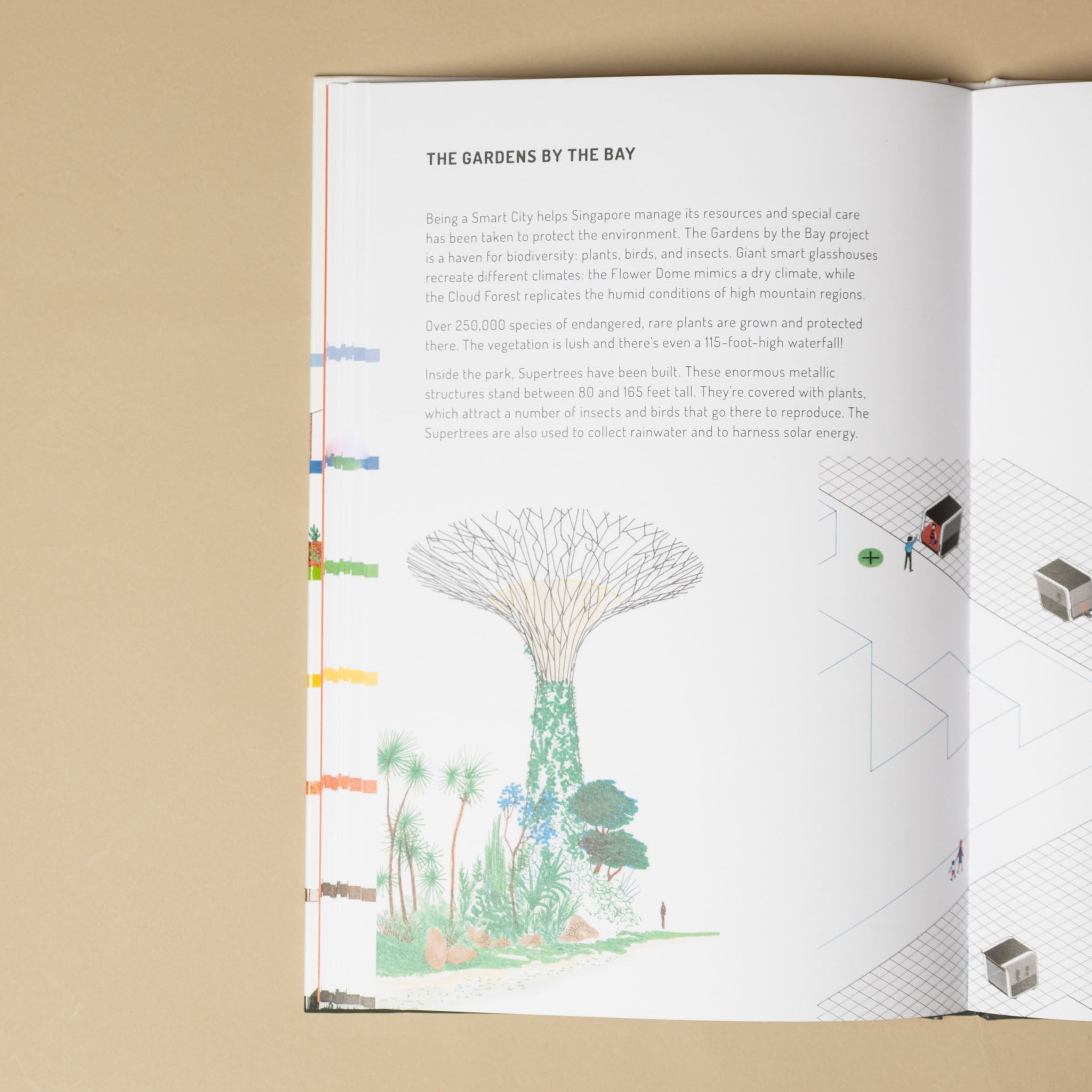 cities-of-the-future-book-text-and-illustrations-of-gardens-by-the-bay-in-singapore