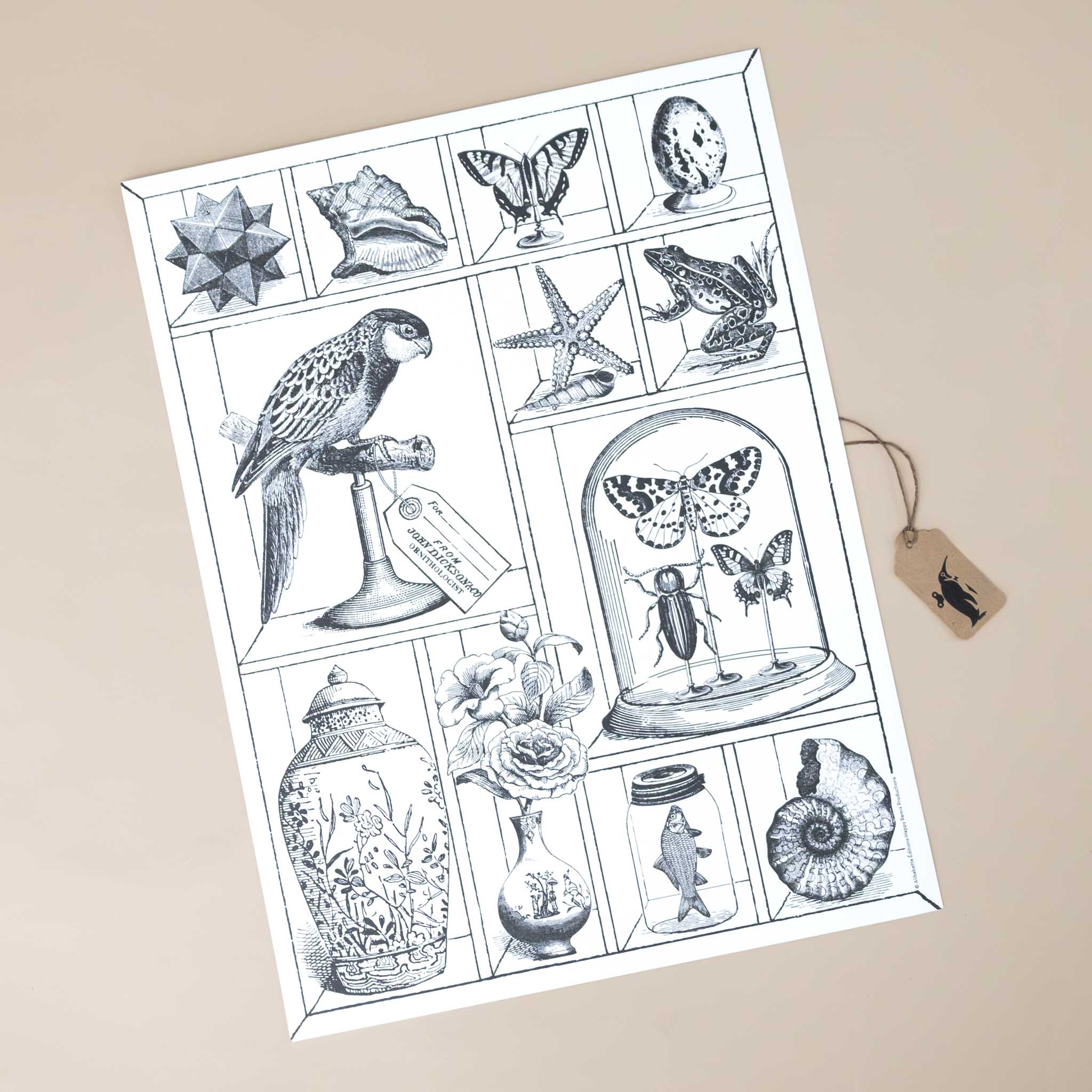 color-your-own-engraving-curiosities-wonders-of-nature-exotic animals-fossils-shells-black-and-white-image