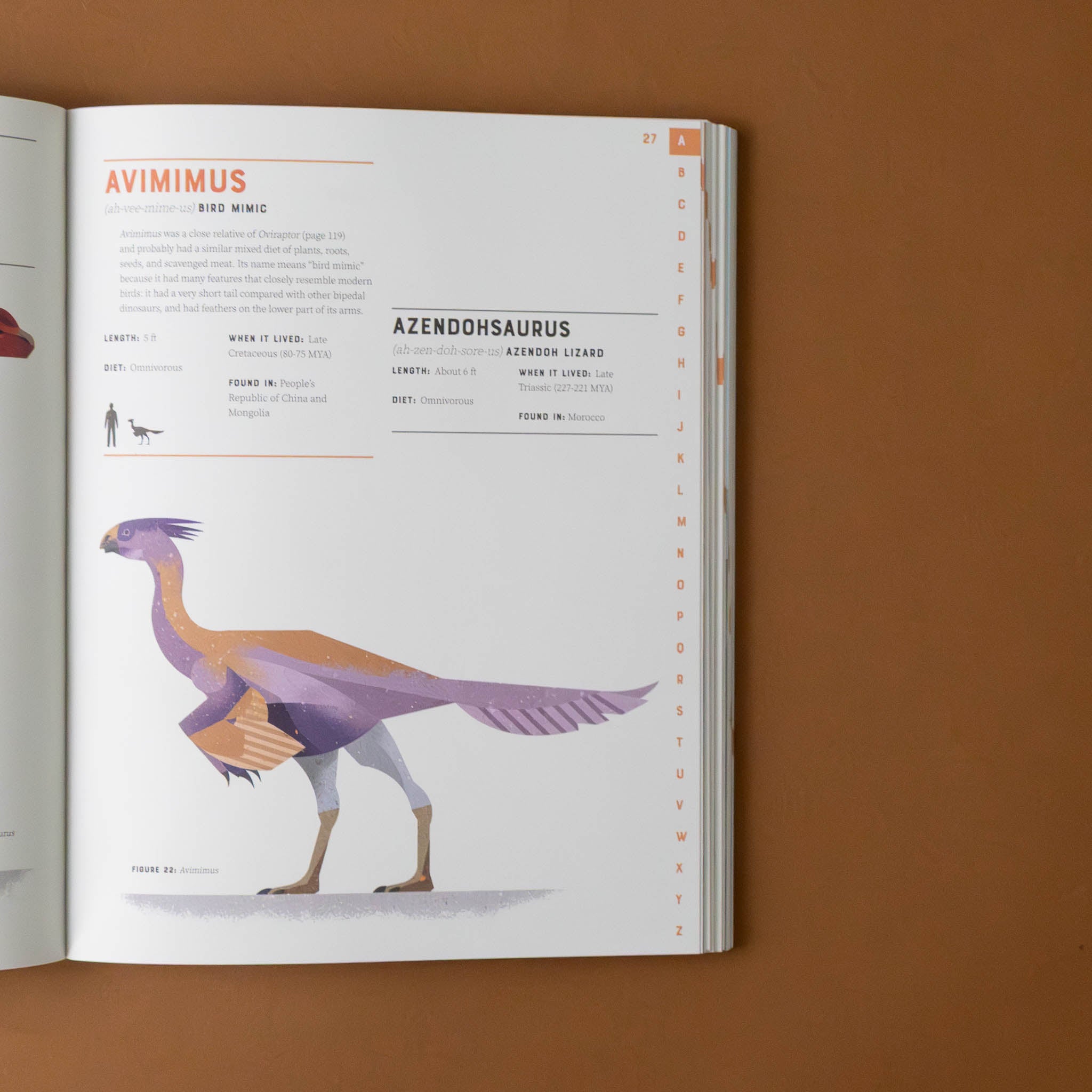 dictionary-of-dinosaurs-text-and-illustration-of-avimimus