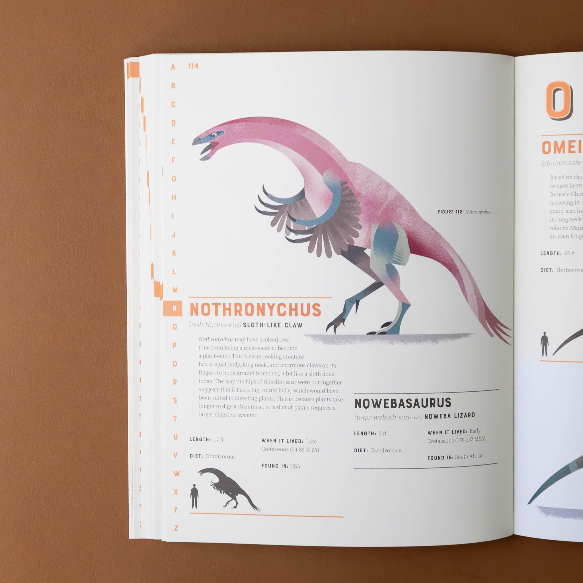 dictionary-of-dinosaurs-of-nothronychus