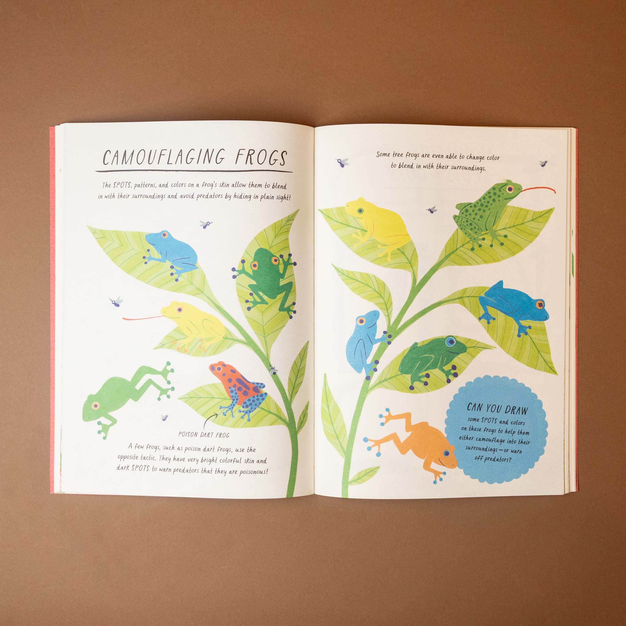 drawn-by-nature-patterns-Open-page-showing-illustrations-of-frogs-and-leaves