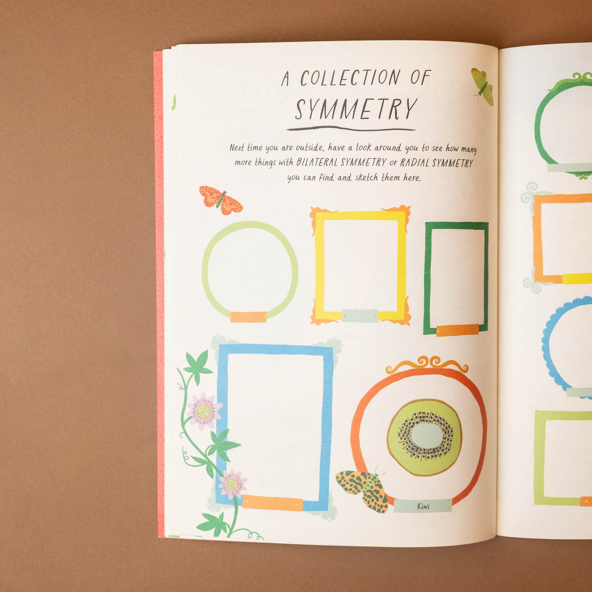 drawn-by-nature-patterns-with-picture-frames-and-text-collection-of-symmetry