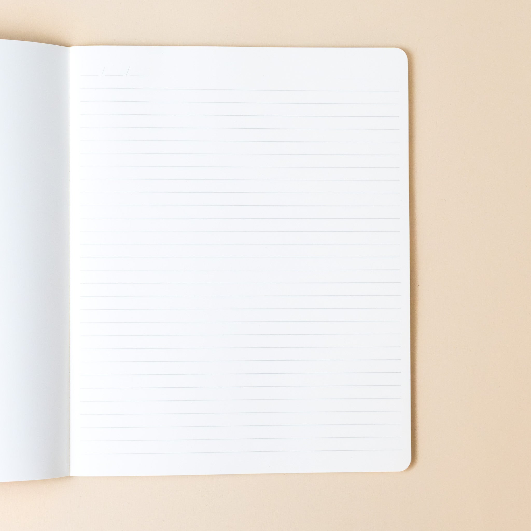 exercise-notebook-lion-stripe-interior-lined-page