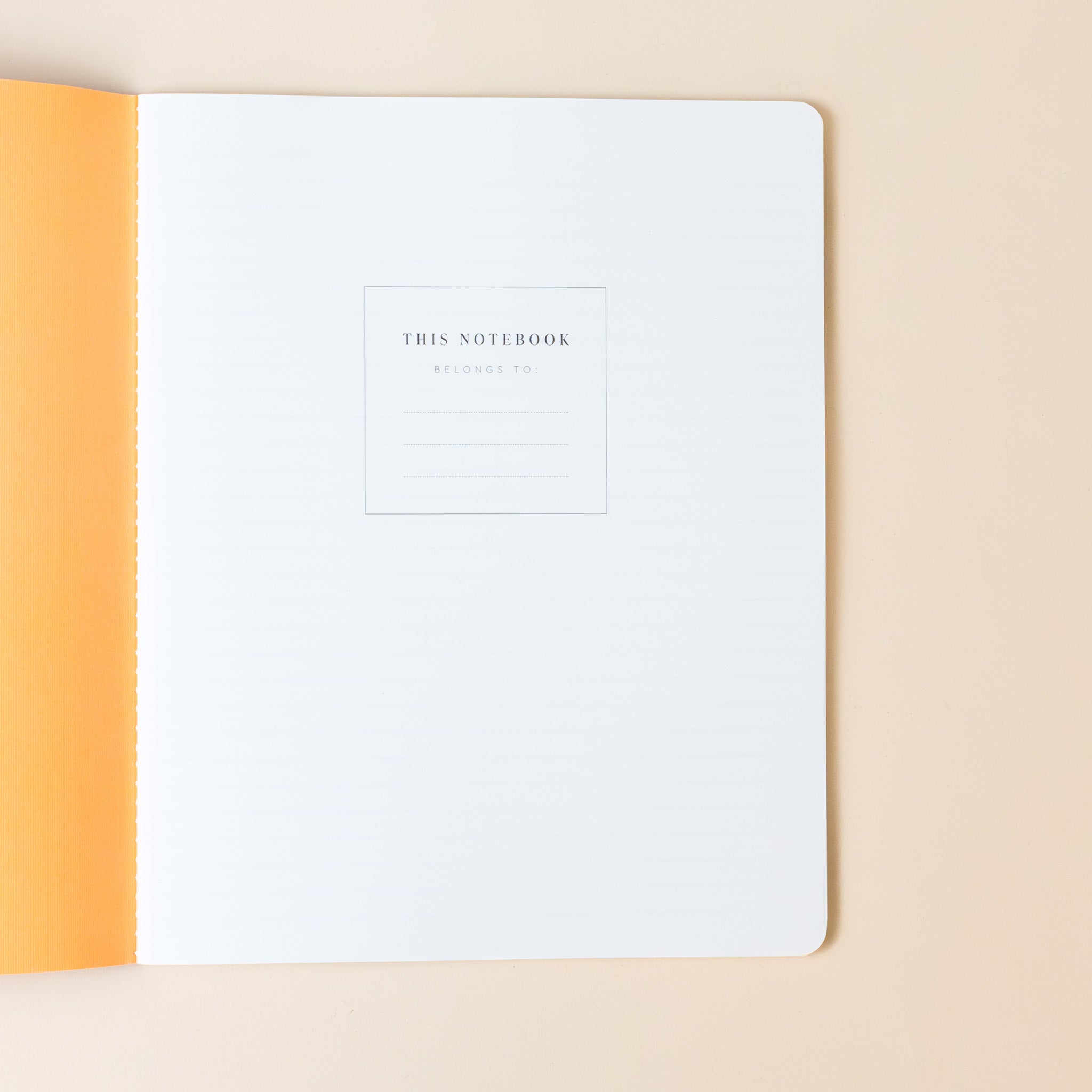 exercise-notebook-panda-stripe-interior-subject-page