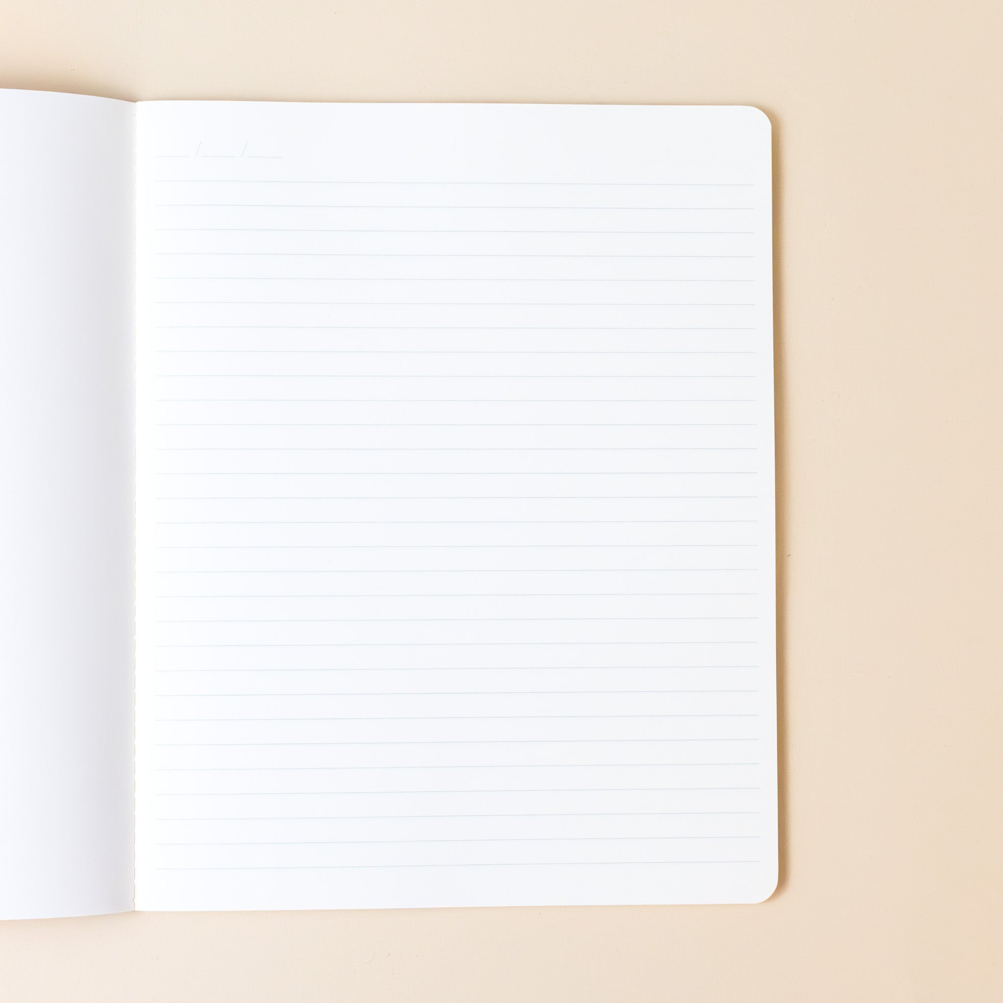 exercise-notebook-panda-stripe-lined-interior-pages