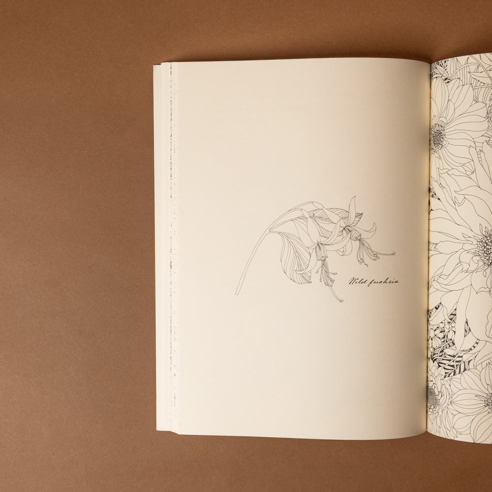 floribunda-year-a-flower-coloring-companion Open book with floral illustrations on a brown background