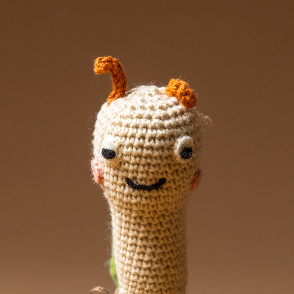 hand-crochet-snail-rattle-face