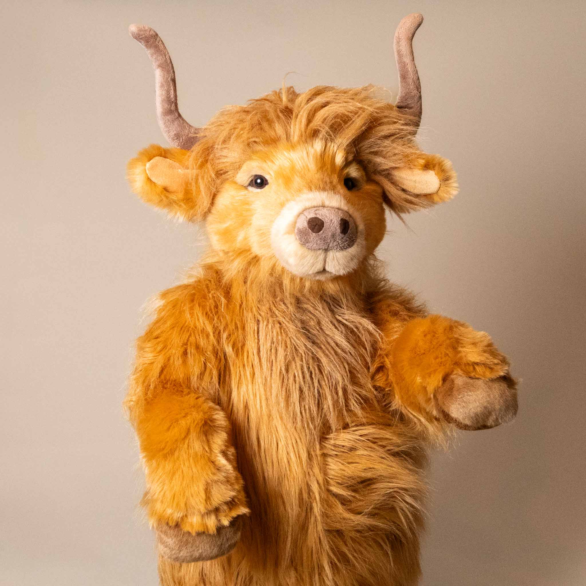 harry-hoofprints-the-highland-cow-stuffed-animal-face