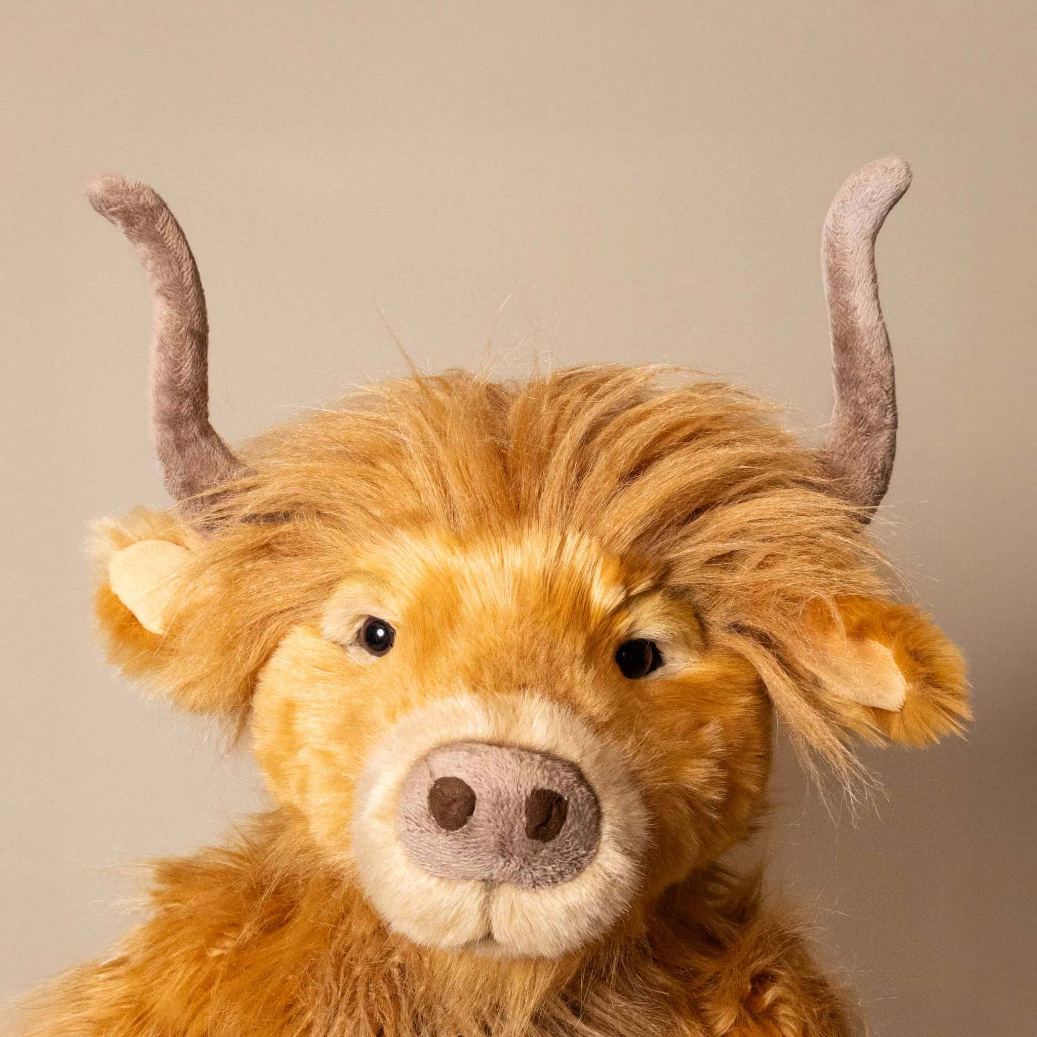 harry-hoofprints-the-highland-cow-stuffed-animal-face