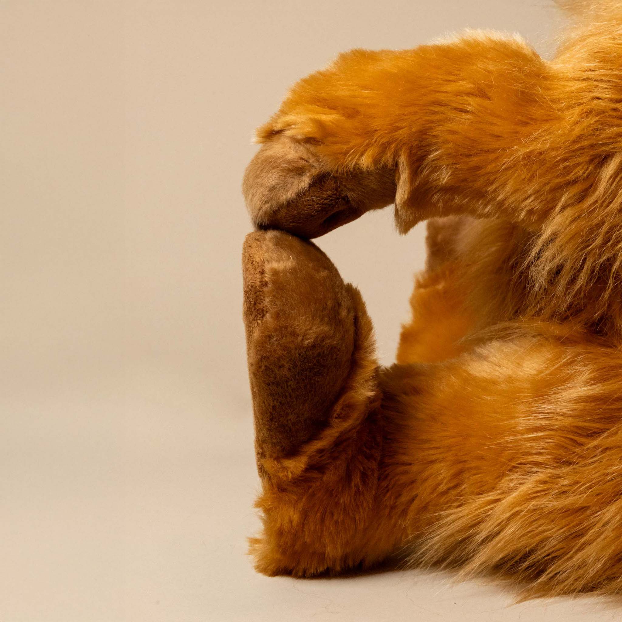 harry-hoofprints-the-highland-cow-stuffed-animal-hooves