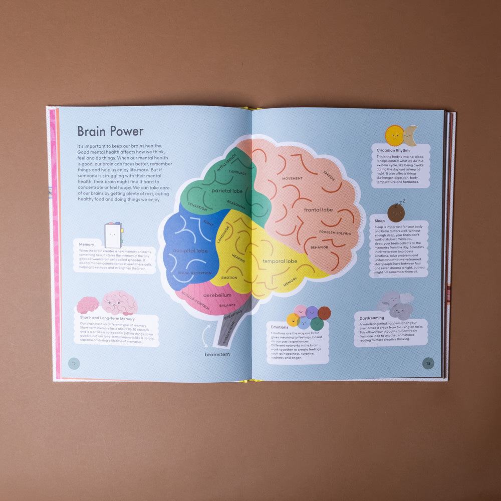 head-to-toe-an-introduction-to-the-human-body Open book showing a colorful illustration of a brain with educational text on a brown background