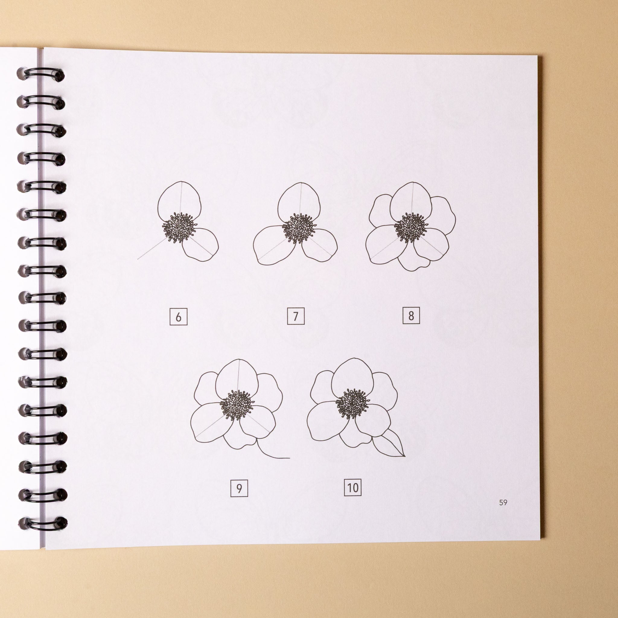 how-to-draw-all-the-things-for-kids-spiral-bound-dogwood-flower