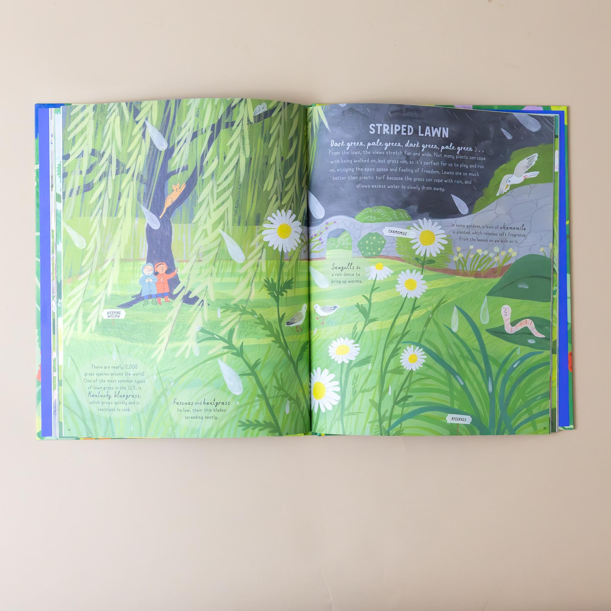 how-to-grow-a-garden-book-cover-with-green-grass-illustration-with-text-titled-striped-lawn