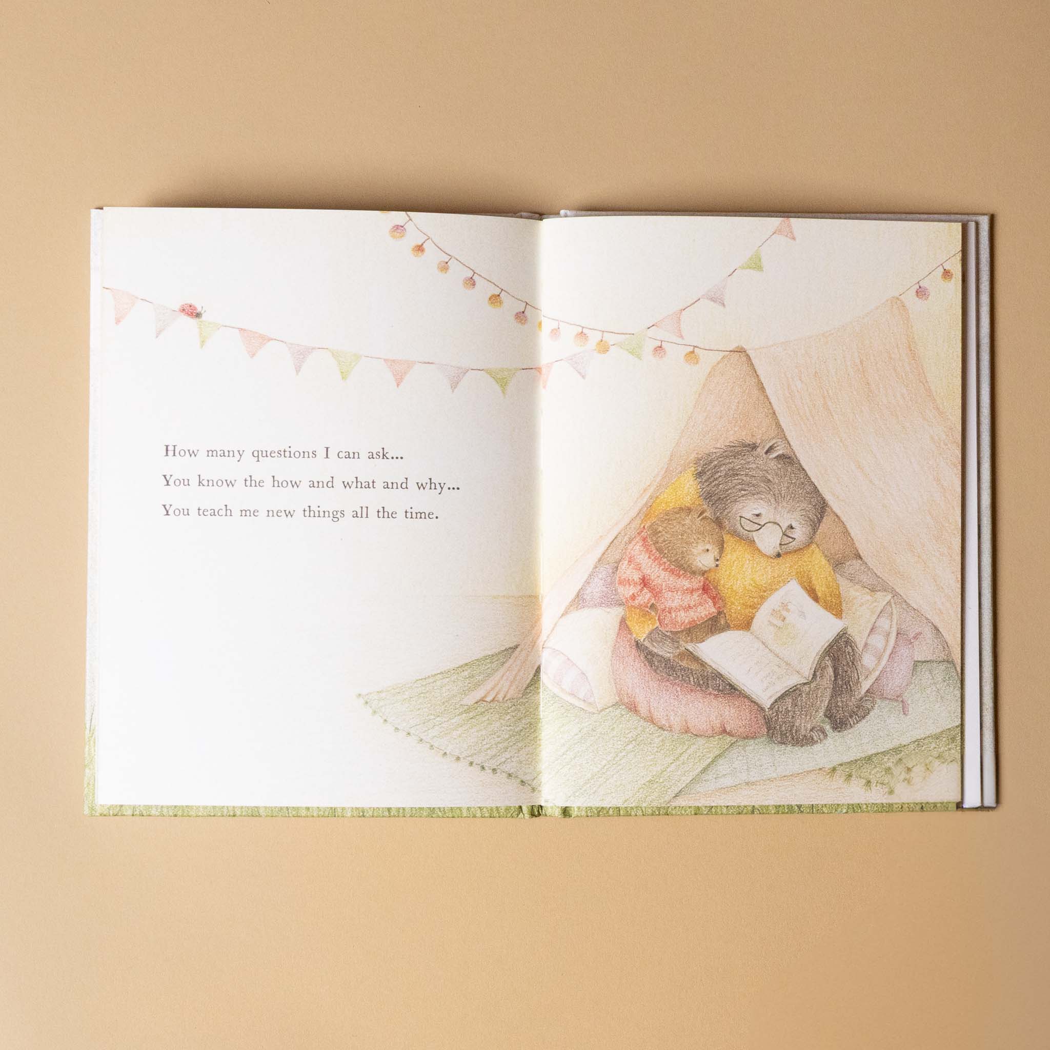Open book with illustrations of teddy bears in a tent i-think-you-are-grand book
