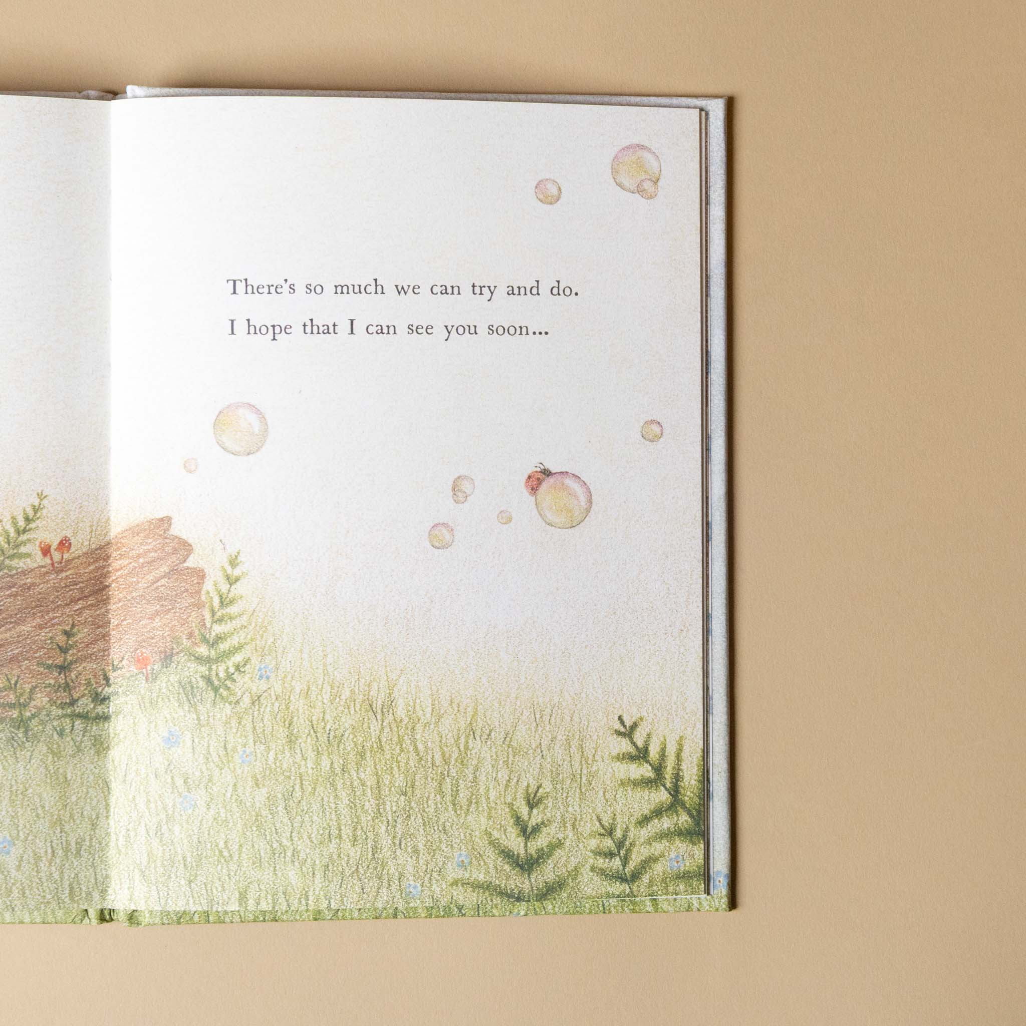 Open book with a scenic illustration and text i-think-you-are-grand book