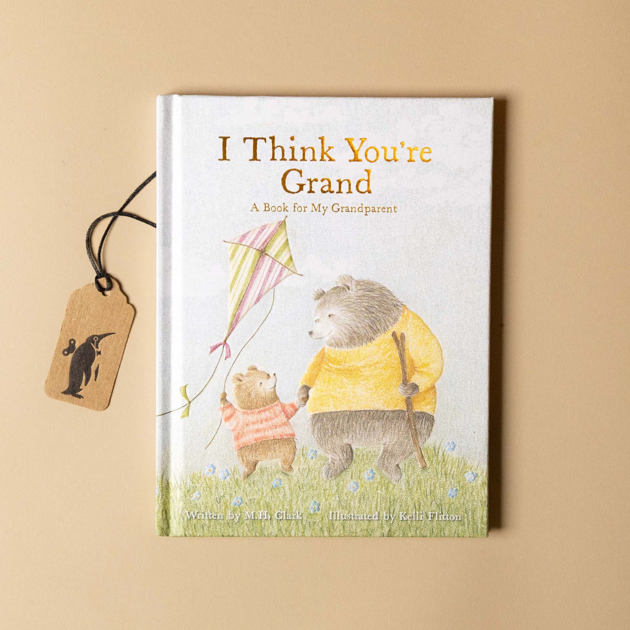 i-think-you-are-grand-with-bear-and-cub-holding-a-kite-on-cover