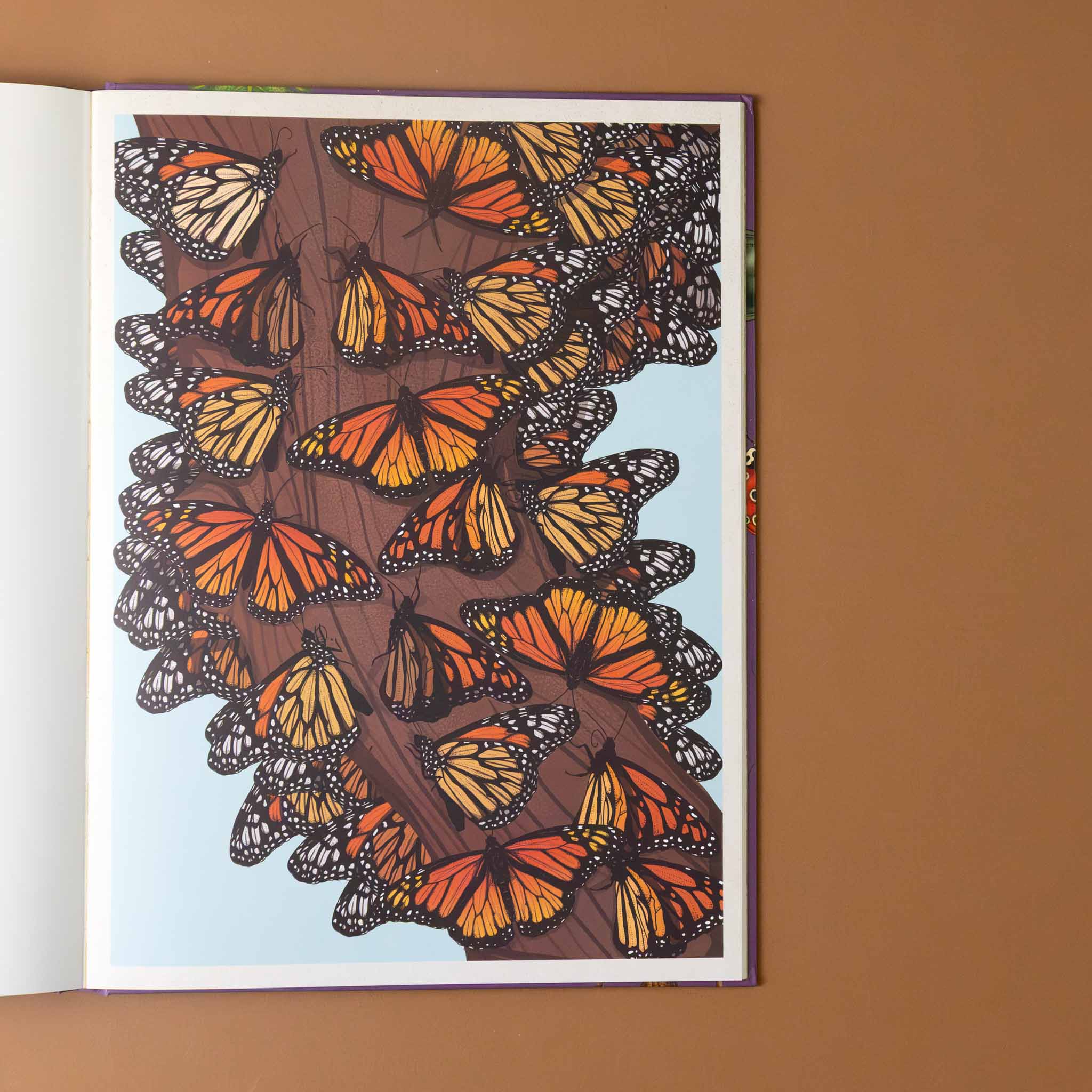 insectarium-book-illustration-of-monarchs-on-a-tree