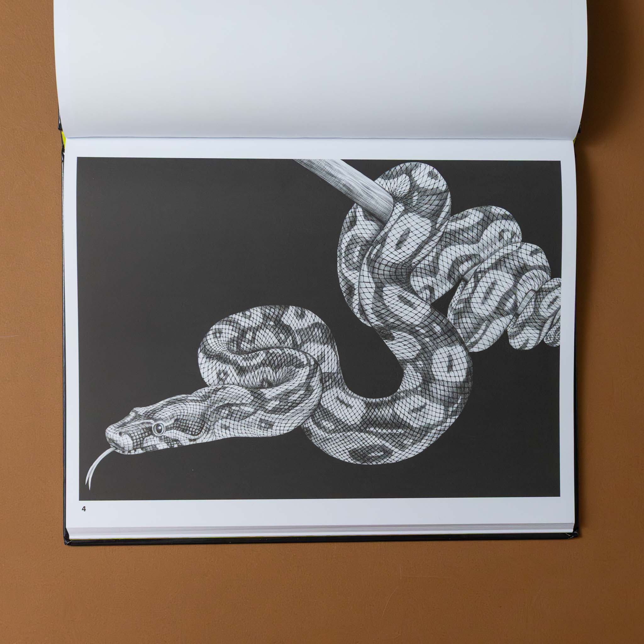 intricate-ink-coloring-book--animals-in-detail-snake