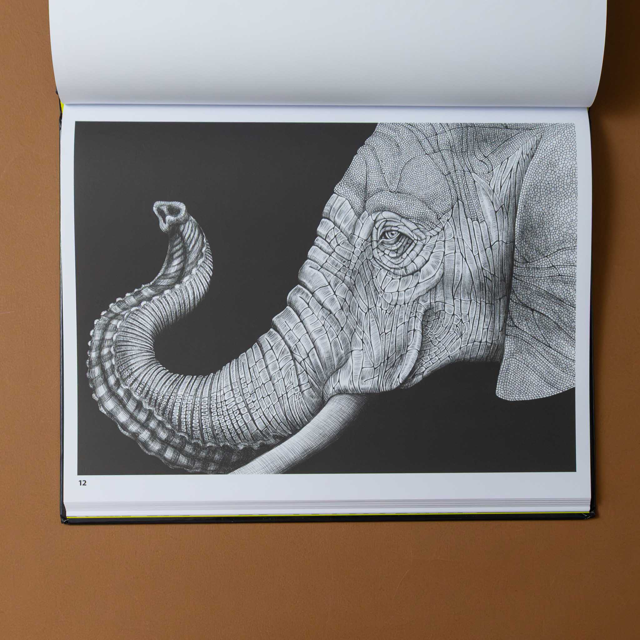 intricate-ink-coloring-book--animals-in-detail-elephant