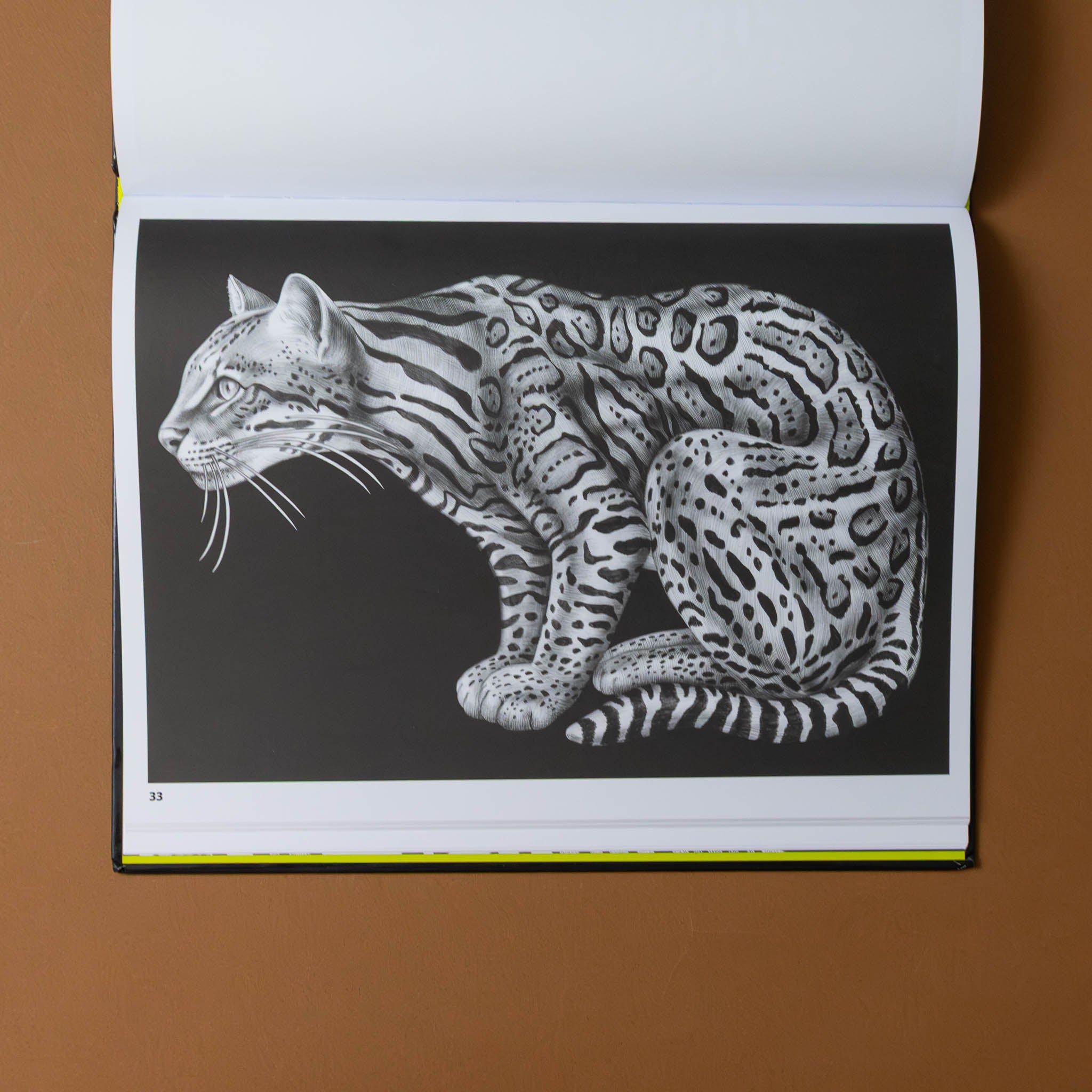 intricate-ink-coloring-book--animals-in-detail-lynx