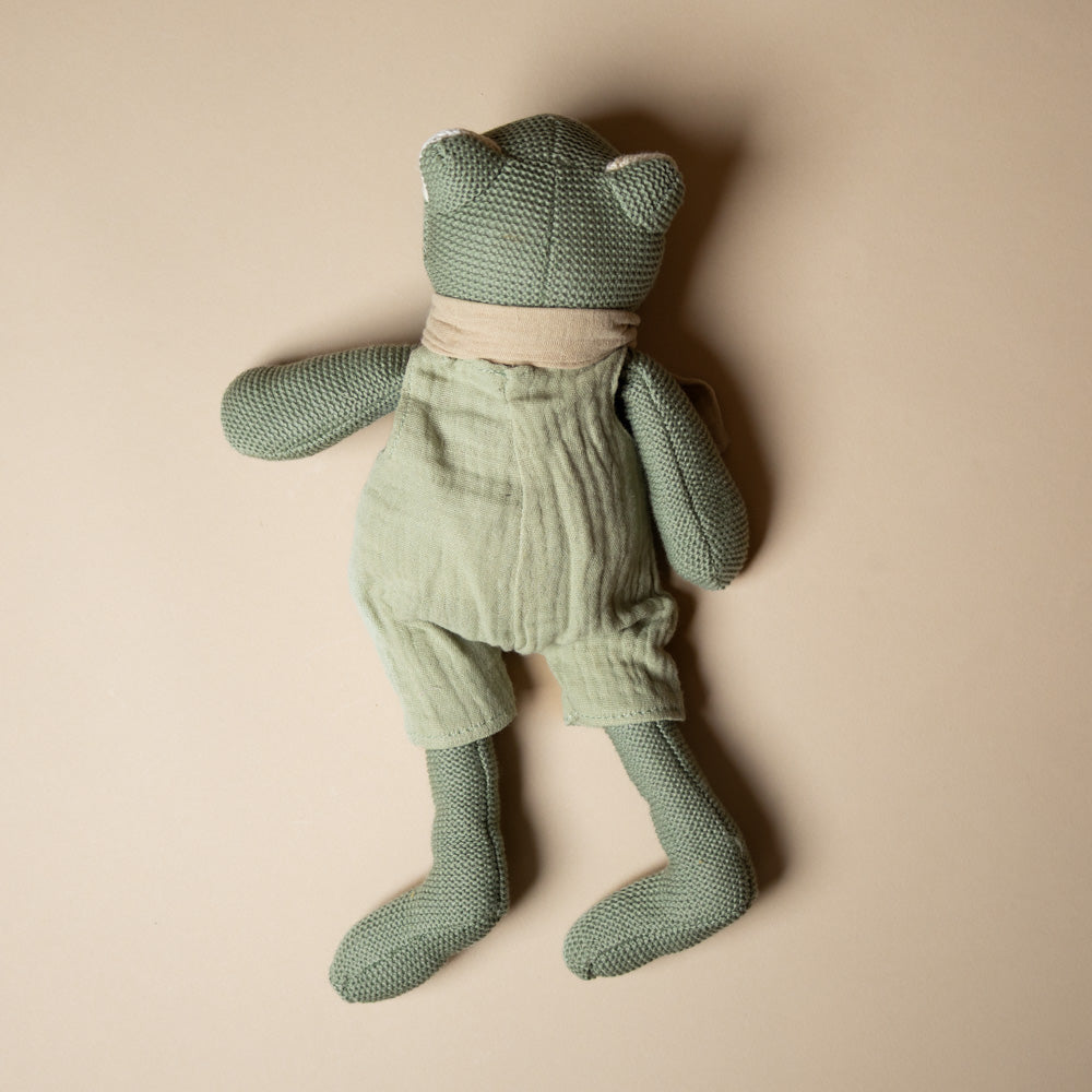 jeremy-the-frog-plush-rattle-back