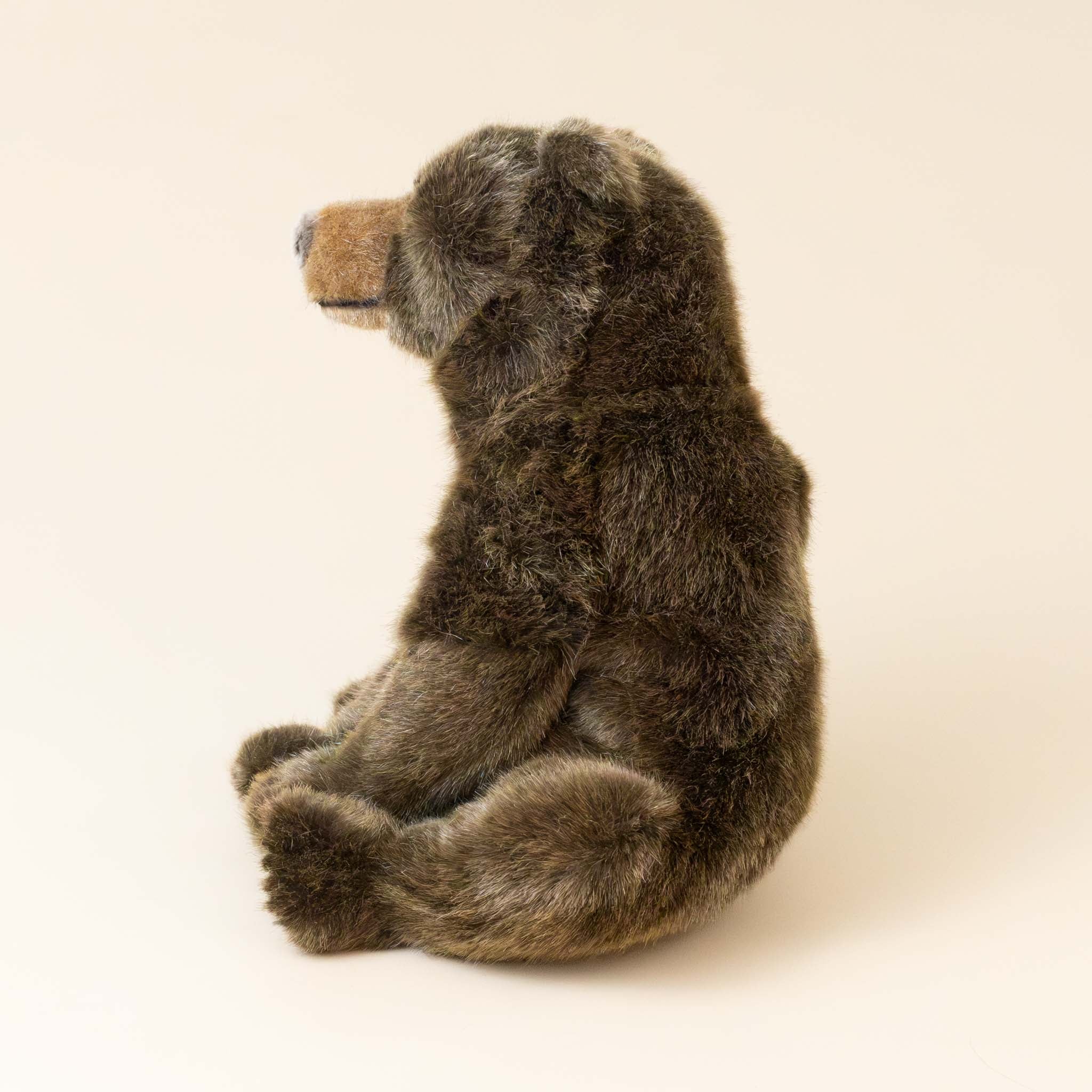 limited-edition-grizzly-bear-max-sitting-side