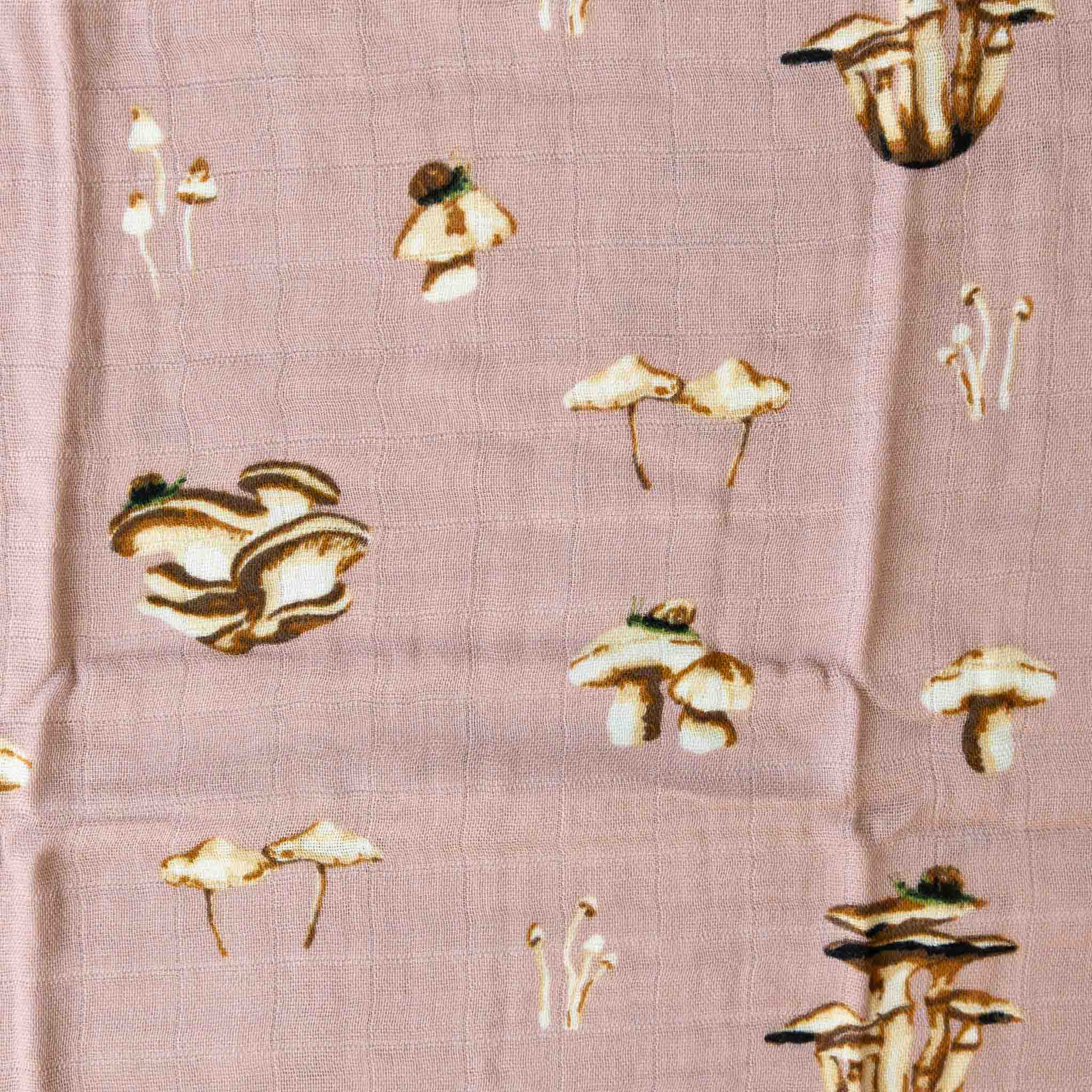 Little Lovie | Mushrooms