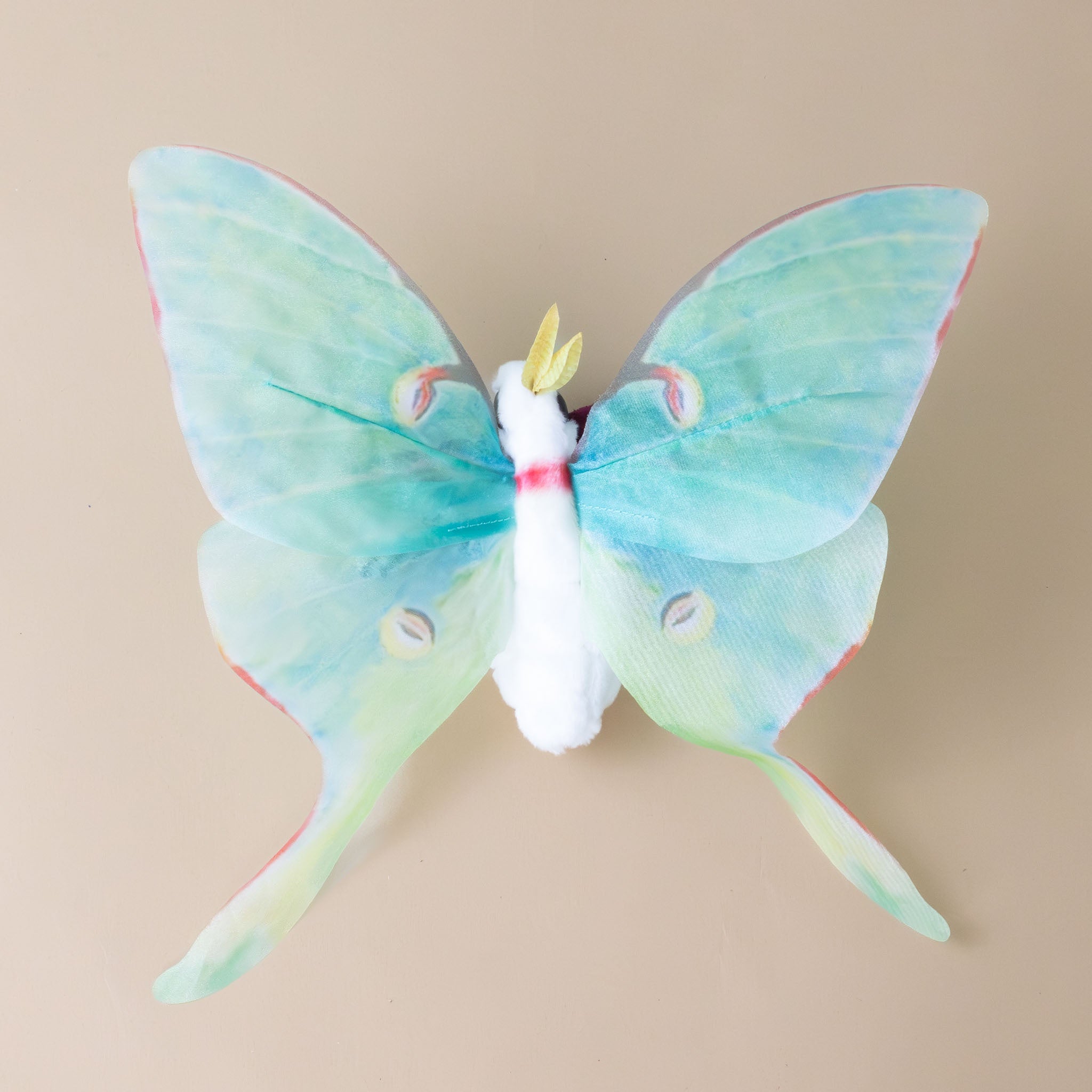 little-luna-moth-with-translucent-green-wings-white-body-and-magenta legs-bag-with-eyes
