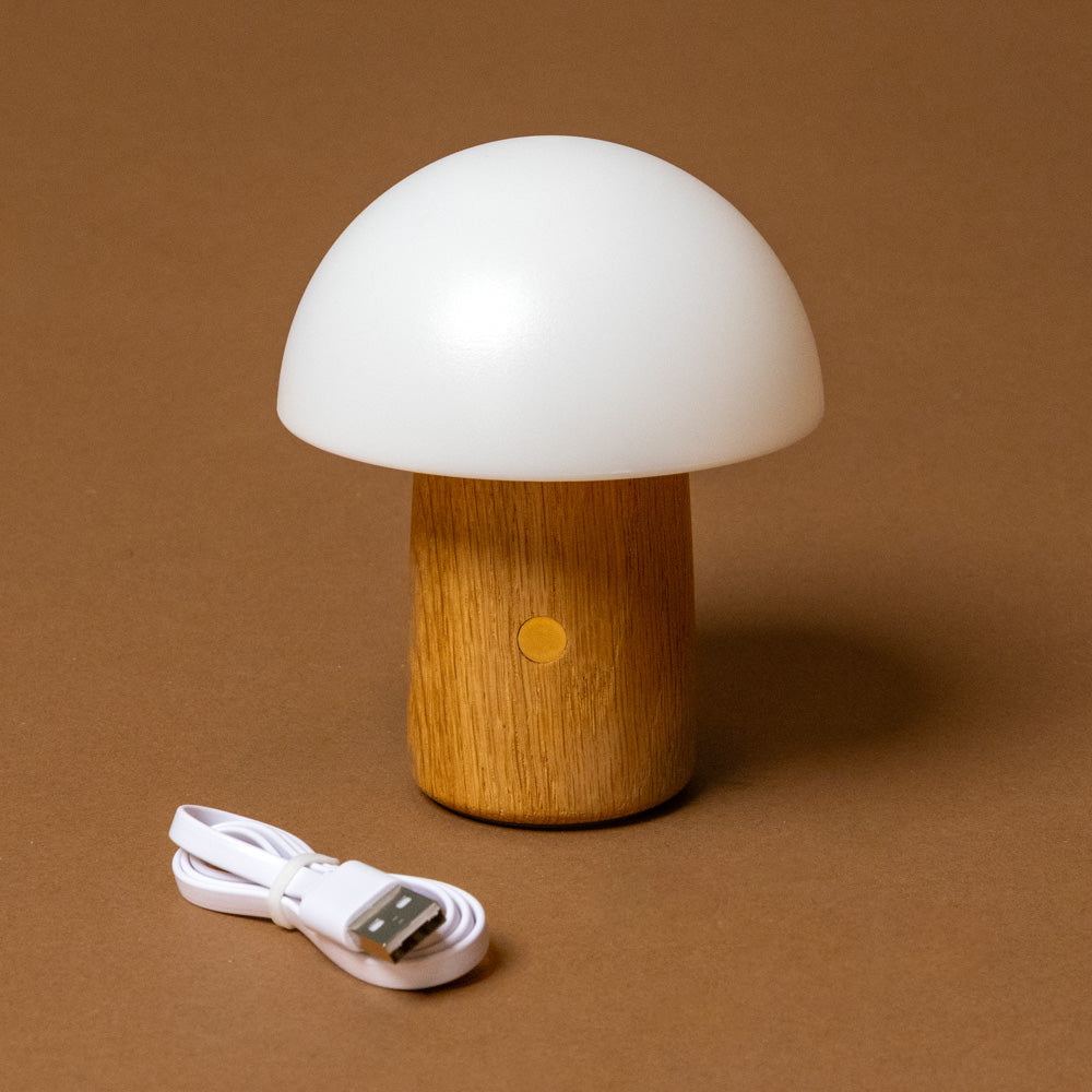 Mushroom-shaped lamp with wooden base and white cable on a brown background