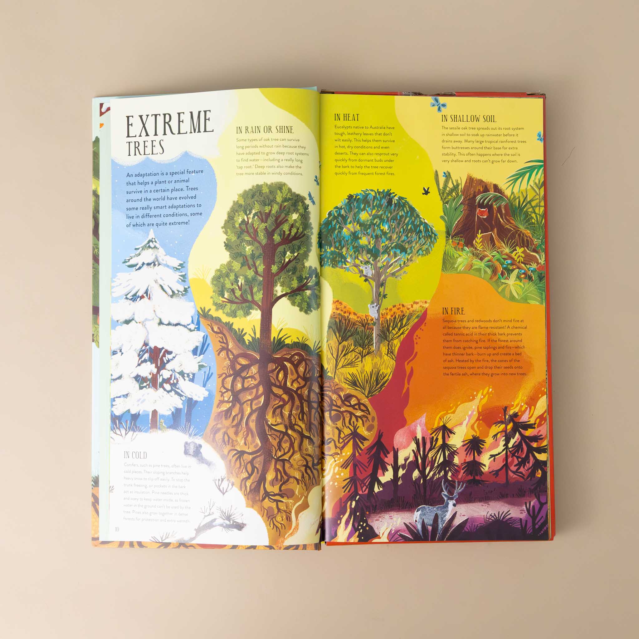 make-and-play-build-a-tree-section-extreme-tree-illustration-and-text