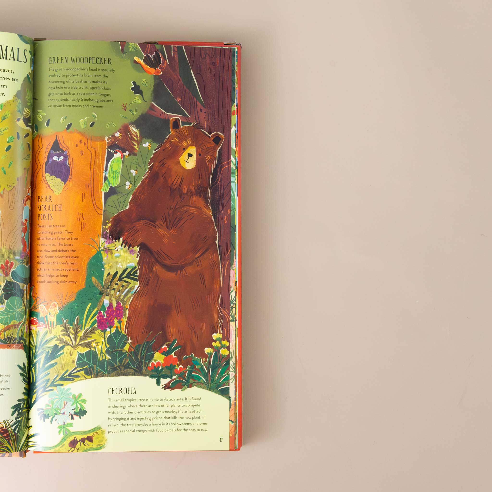 make-and-play-build-a-tree-illustration-of-bear-with-text