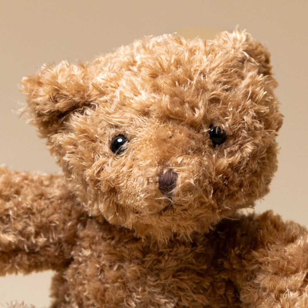 martin-bear-petite Close-up of a brown teddy bear against a beige background