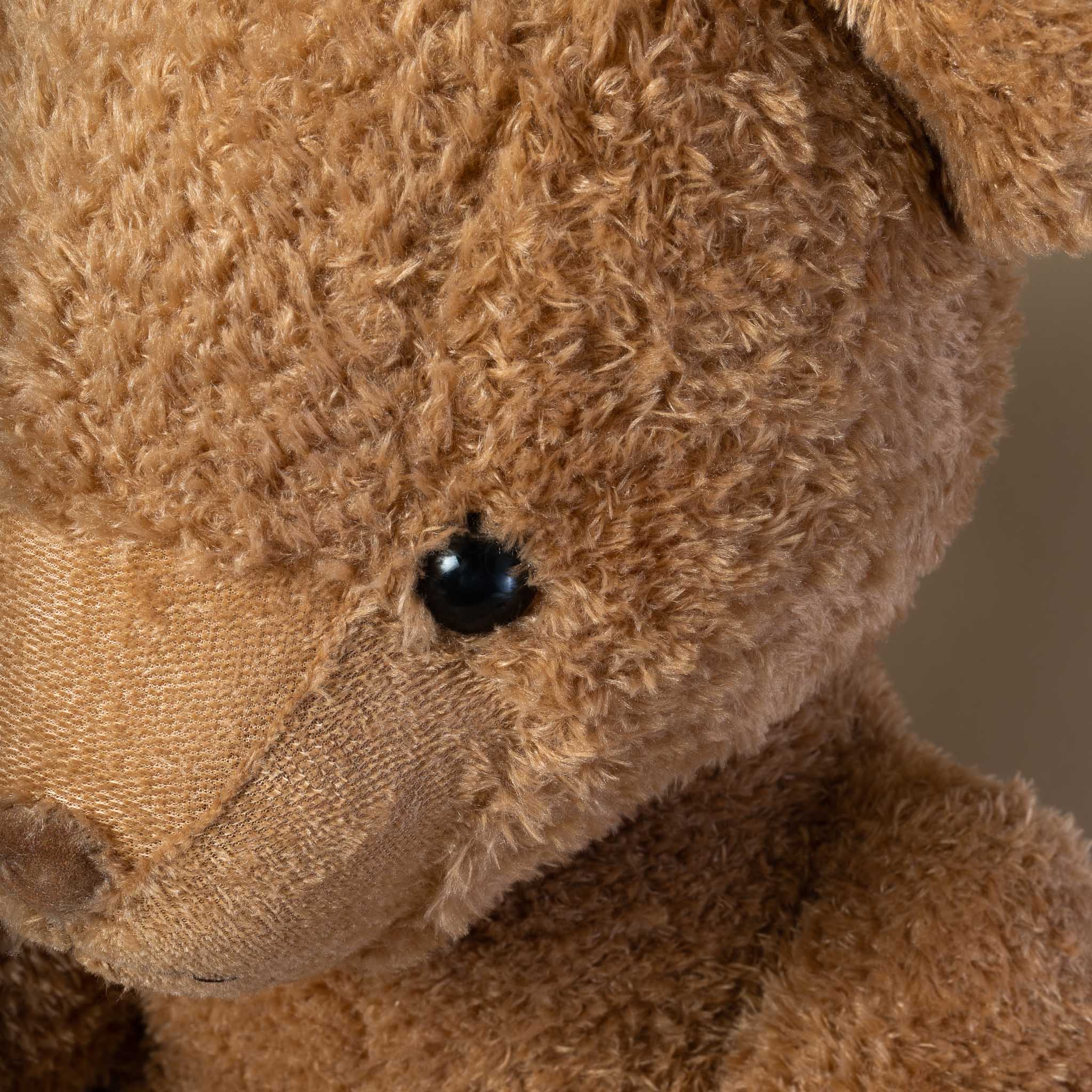 martin-bear-really-big