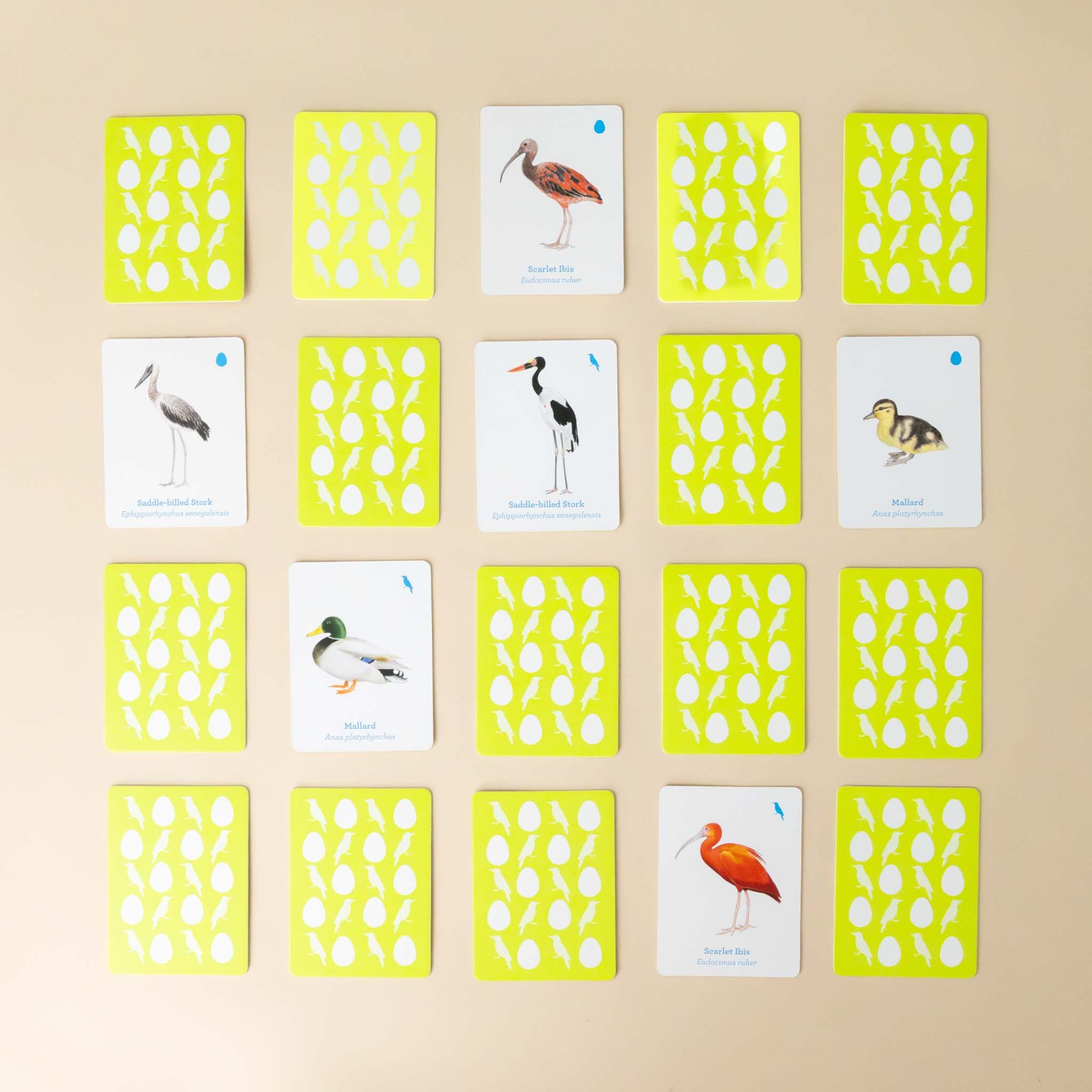 match-a-baby-bird-memory-game-example-pairs