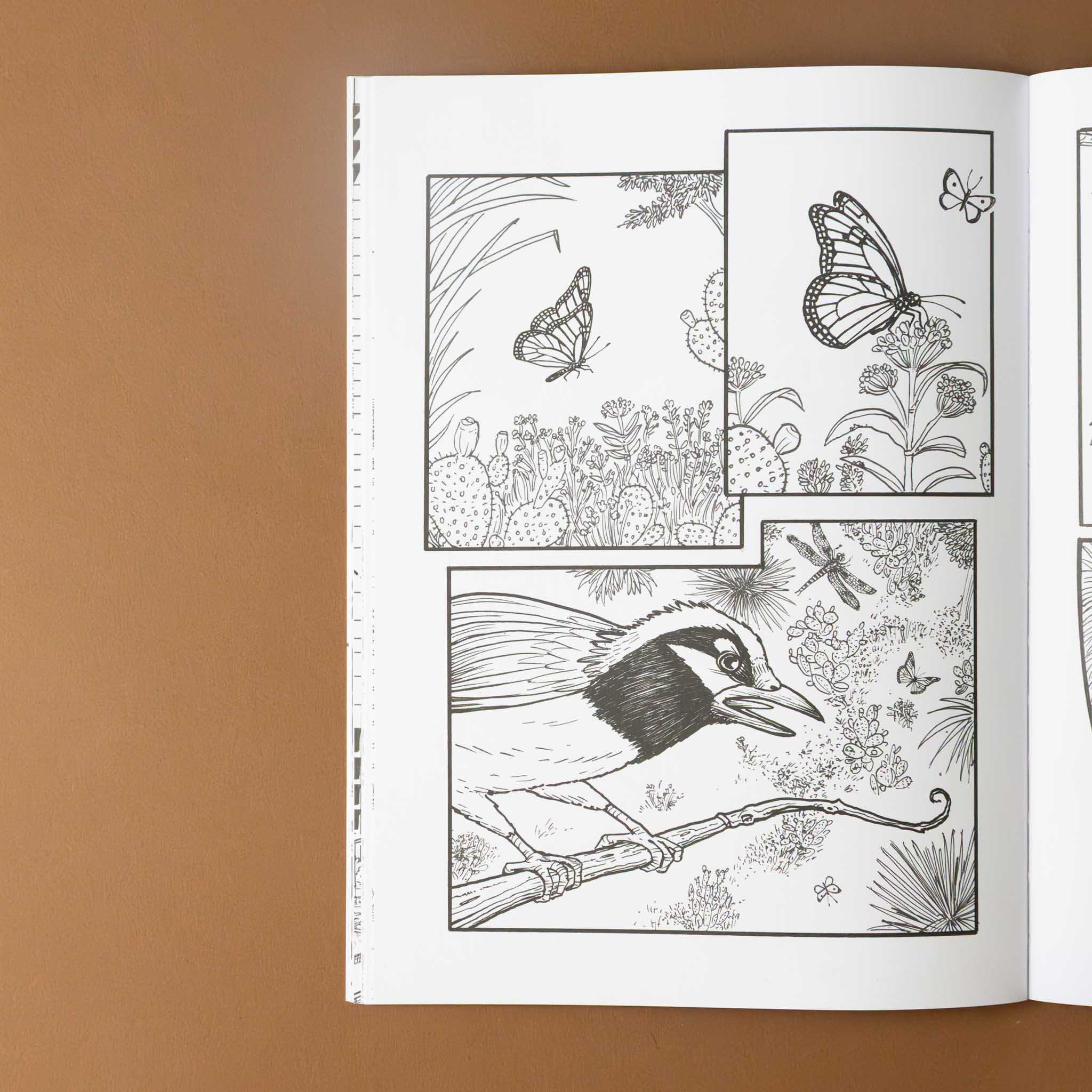 monarchs-journey-a-coloring-book-black-and-white-illustration-bird-and-monarch