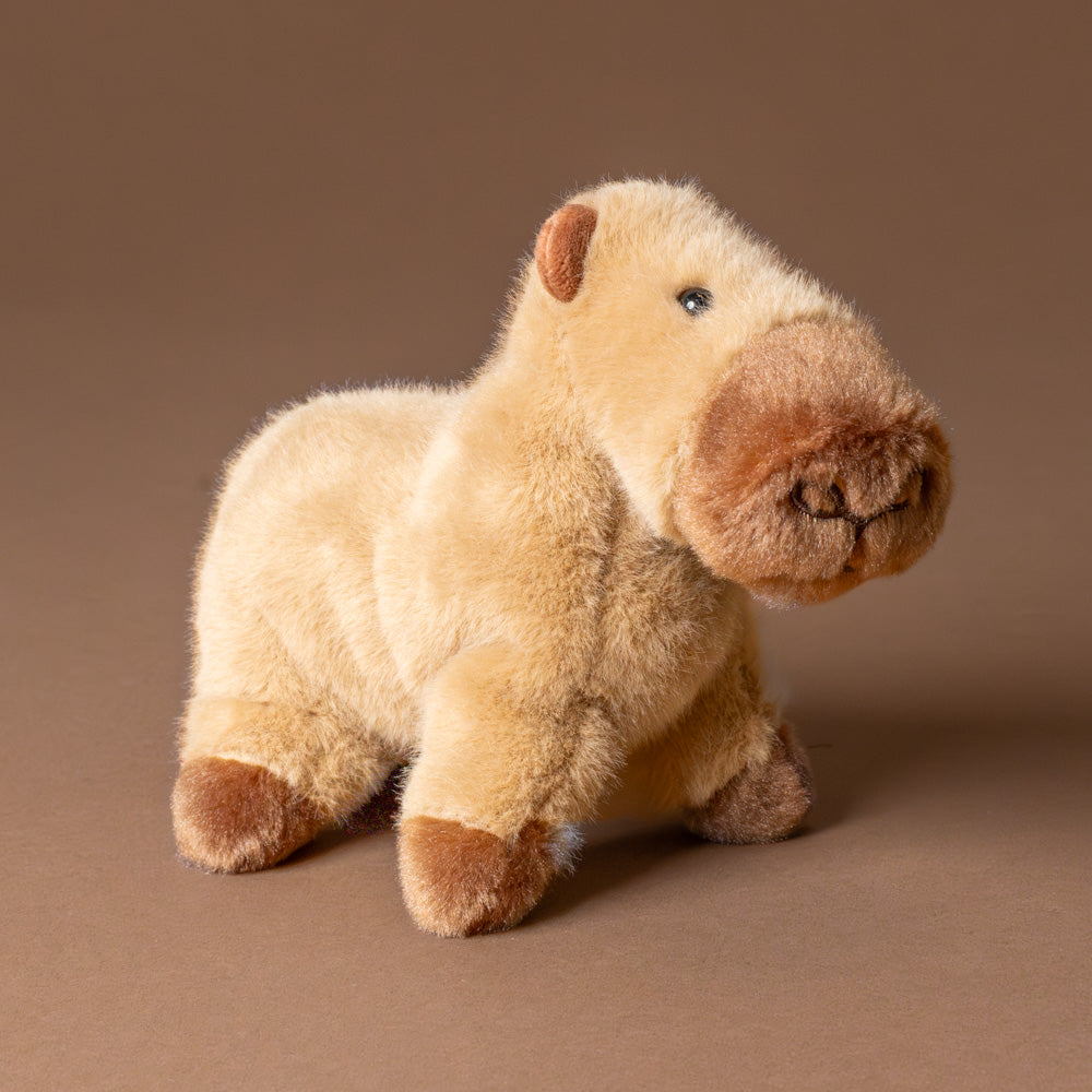 carmel-colored-muzzle-craig-capybara-stuffed-animal-side-